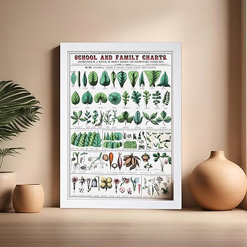 Miniatura 451 de Poster Master Póster vintage de orquídea, estampado de flores retro, arte de pared de plantas exóticas, arte botánico, regalo para hombres y
