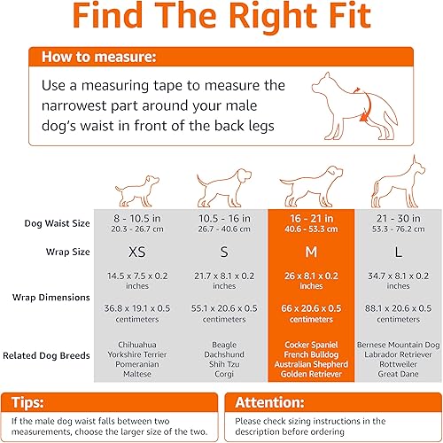 Miniatura 4 de Amazon Basics Male Dog Diapers, 50 Count, Medium, Ultra Absorbent Disposable Wrap with Secure Fit, Leakproof and Comfortable