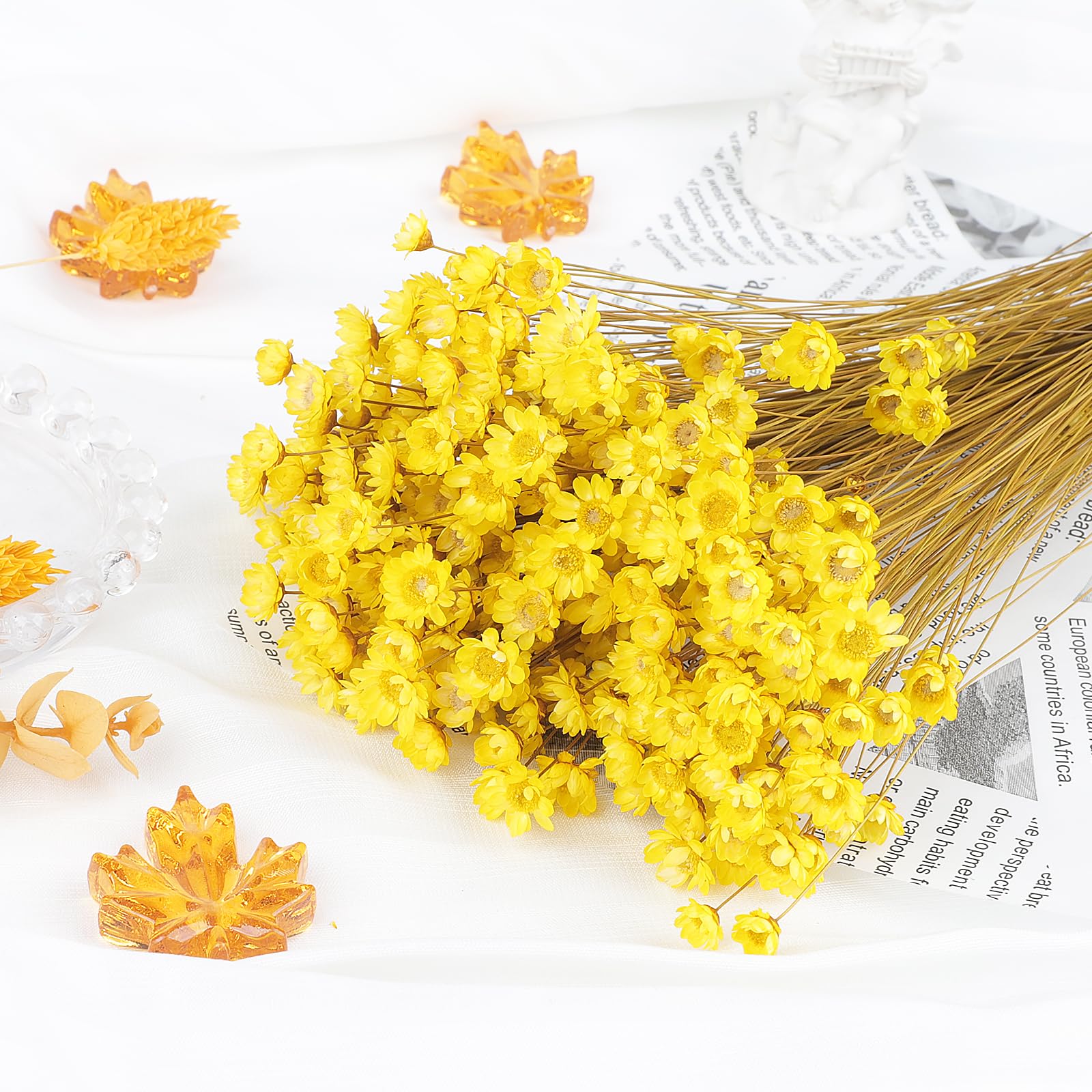 300 PCS Brazilian Small Daisy Dried Flowers - Image 4