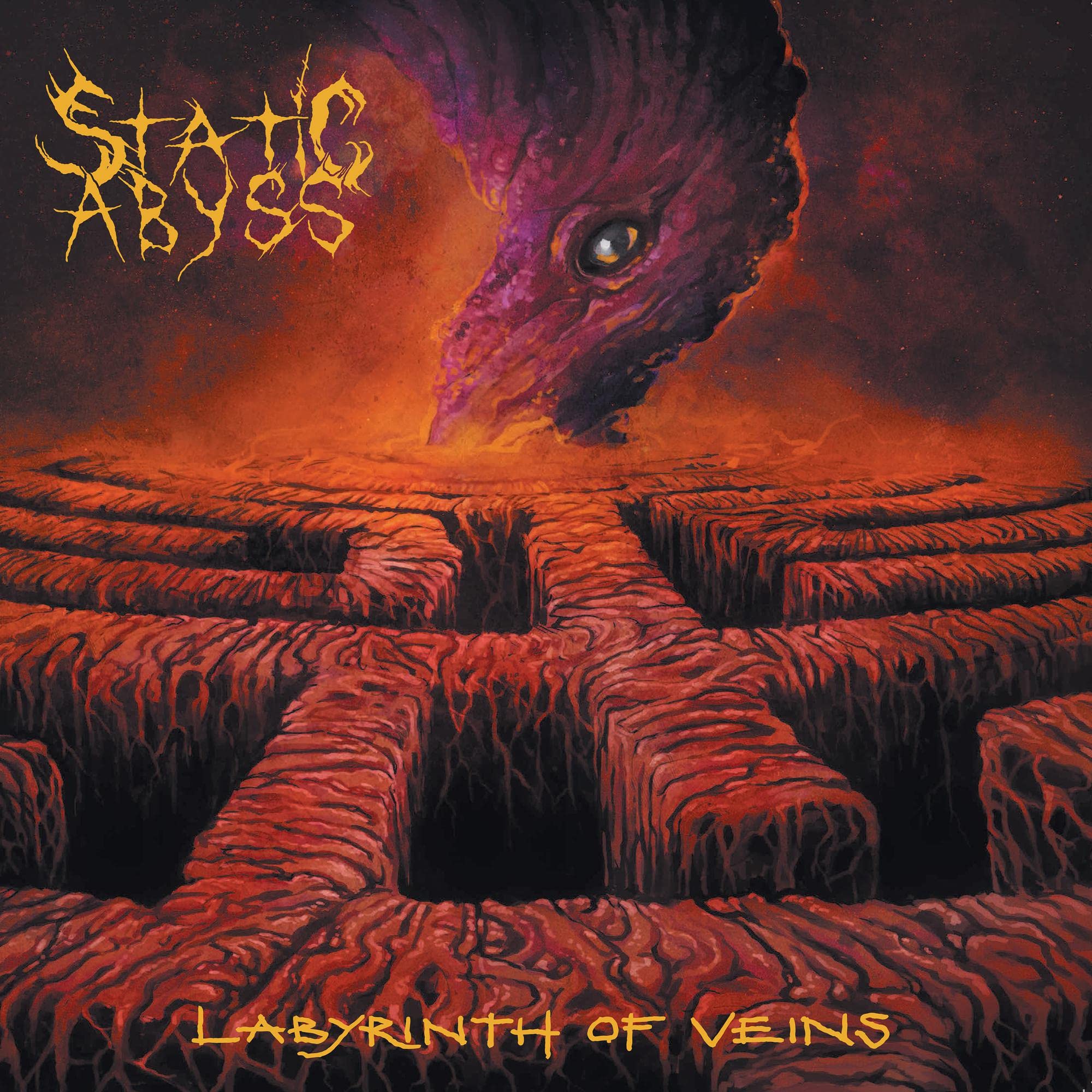 Labyrinth Of Veins [VINYL]