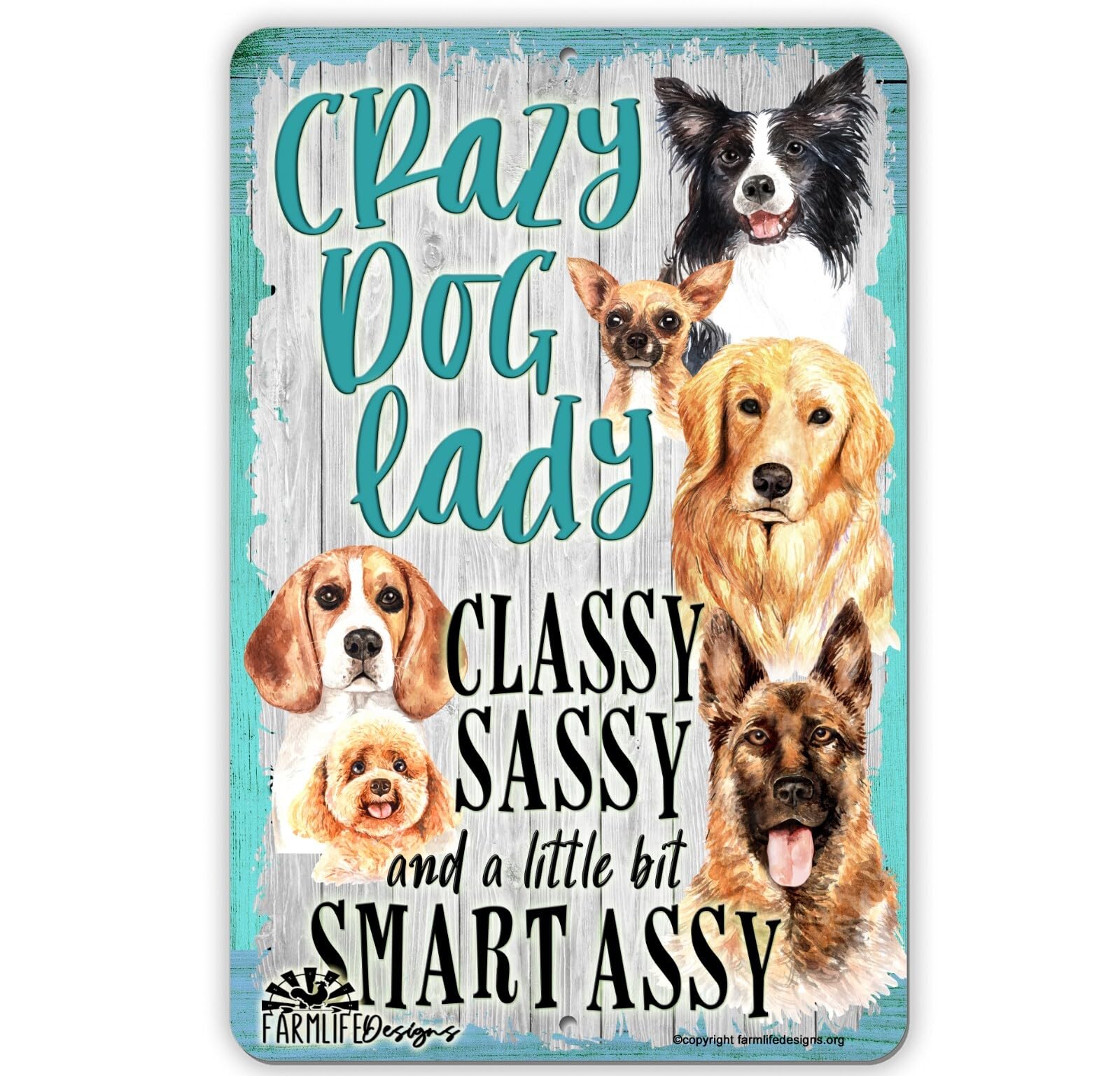 CRAZY DOG LADY - classy, sassy, smart assy 8x12 aluminum sign, handmade home decor