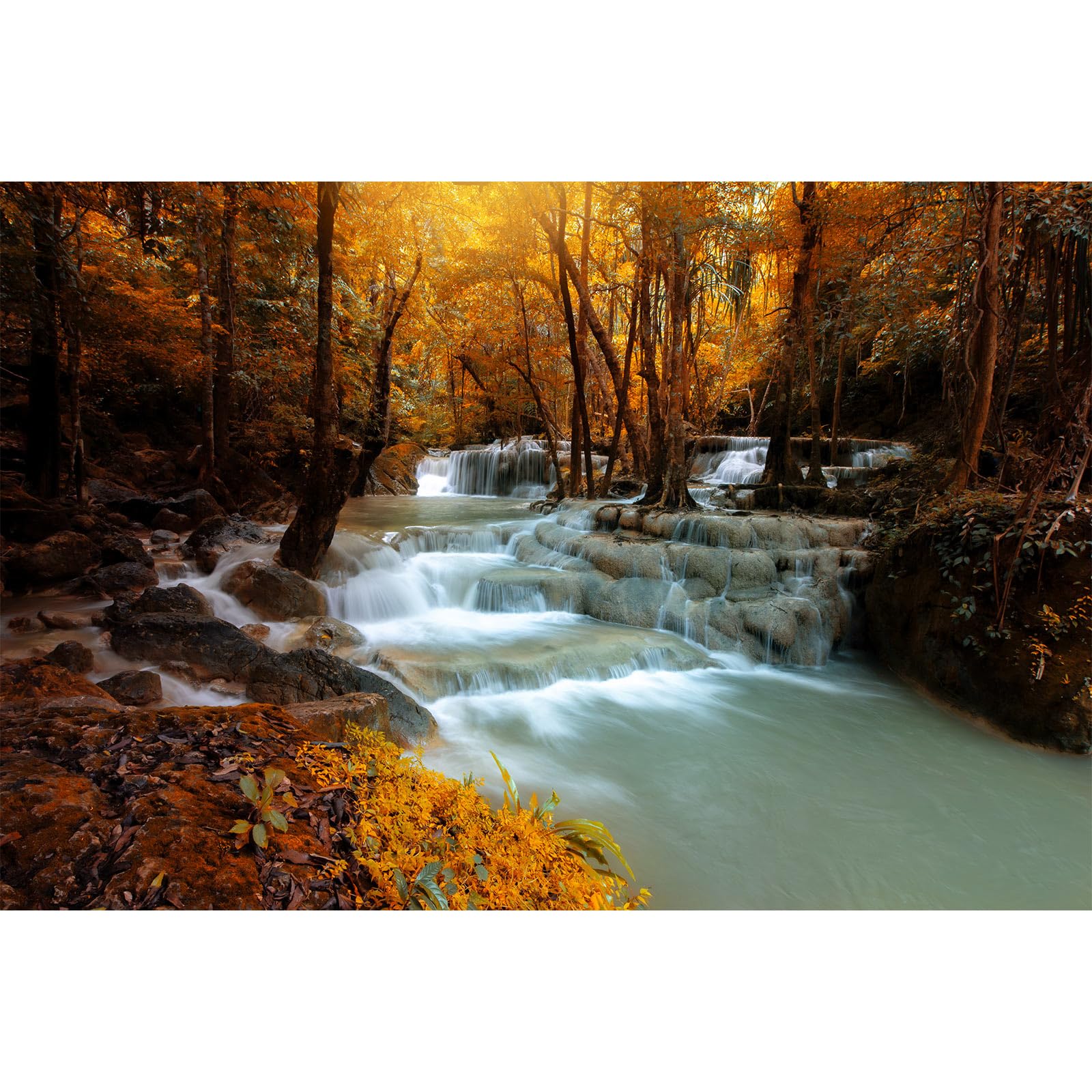 Autumn Waterfall Aquarium Background Jungle Forest Lake Stream Natural Landscape Fish Tank Background Tropical Plants Huge Rock Terrarium Backgrounds Jungle Trees Falls Reptile Backgrounds 24x16in