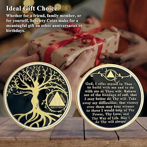 Miniatura 6 de Chip de sobriedad del árbol de la vida de 6 años, chips AA y medallones  Moneda de recuperación de sobriedad  Regalos de sobriedad para celebrar la