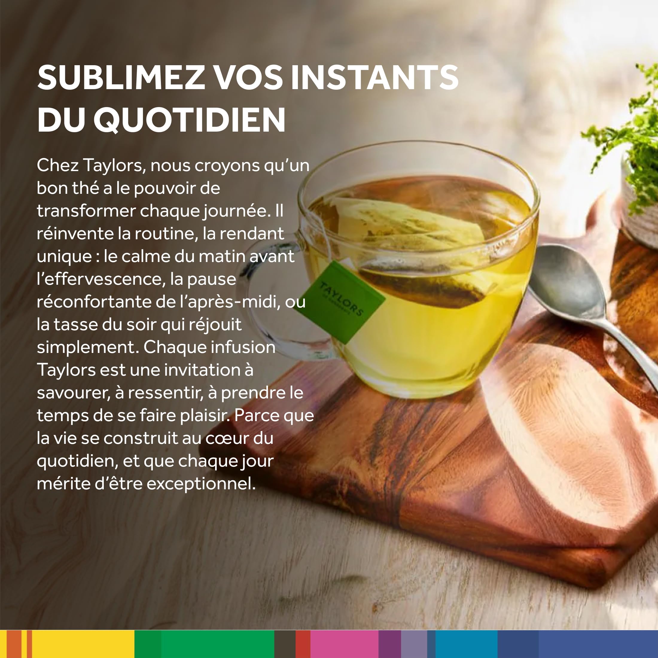 Taylors of Harrogate Thé Vert Pur - Délicat, Doux et Frais Sencha Chinois - 20 Sachets