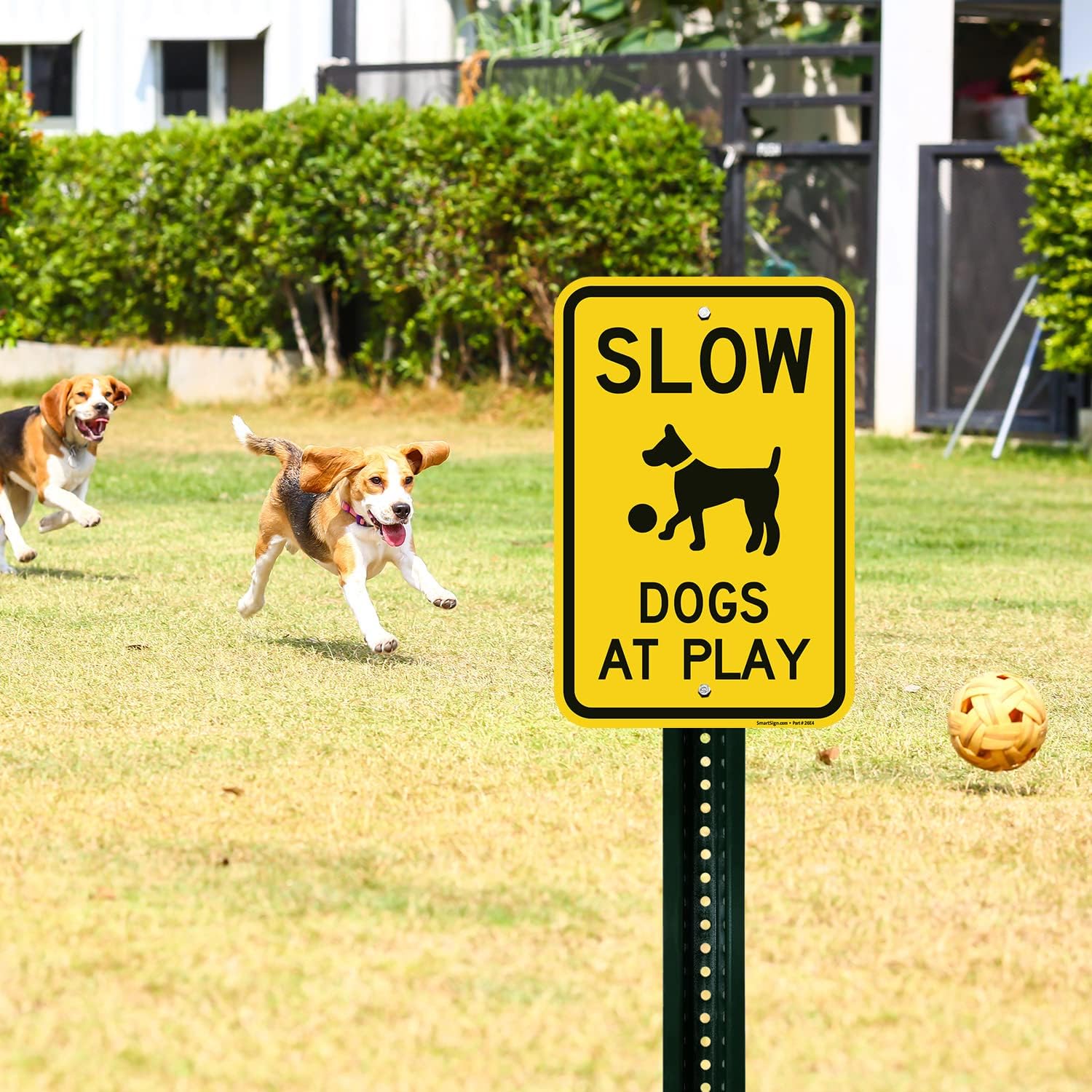 SmartSign "Slow - Dogs At Play" Sign | 12" x 18" Aluminum