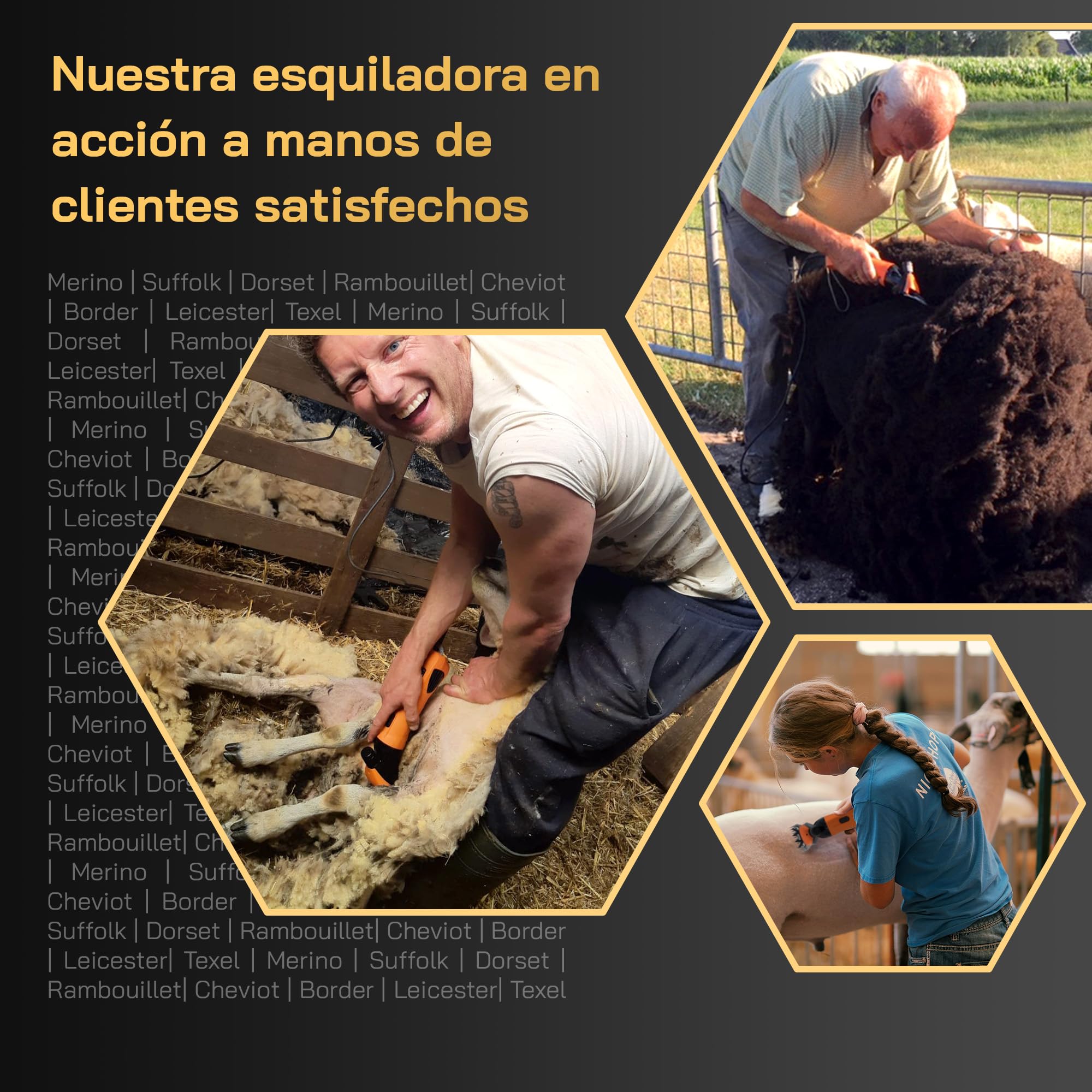 Esquiladora eléctrica para ovejas - Para todas las razas y pelajes de oveja - Cuchillas intercambiables - Motor potente - Baja vibración y muy silencioso - Sin mantenimiento