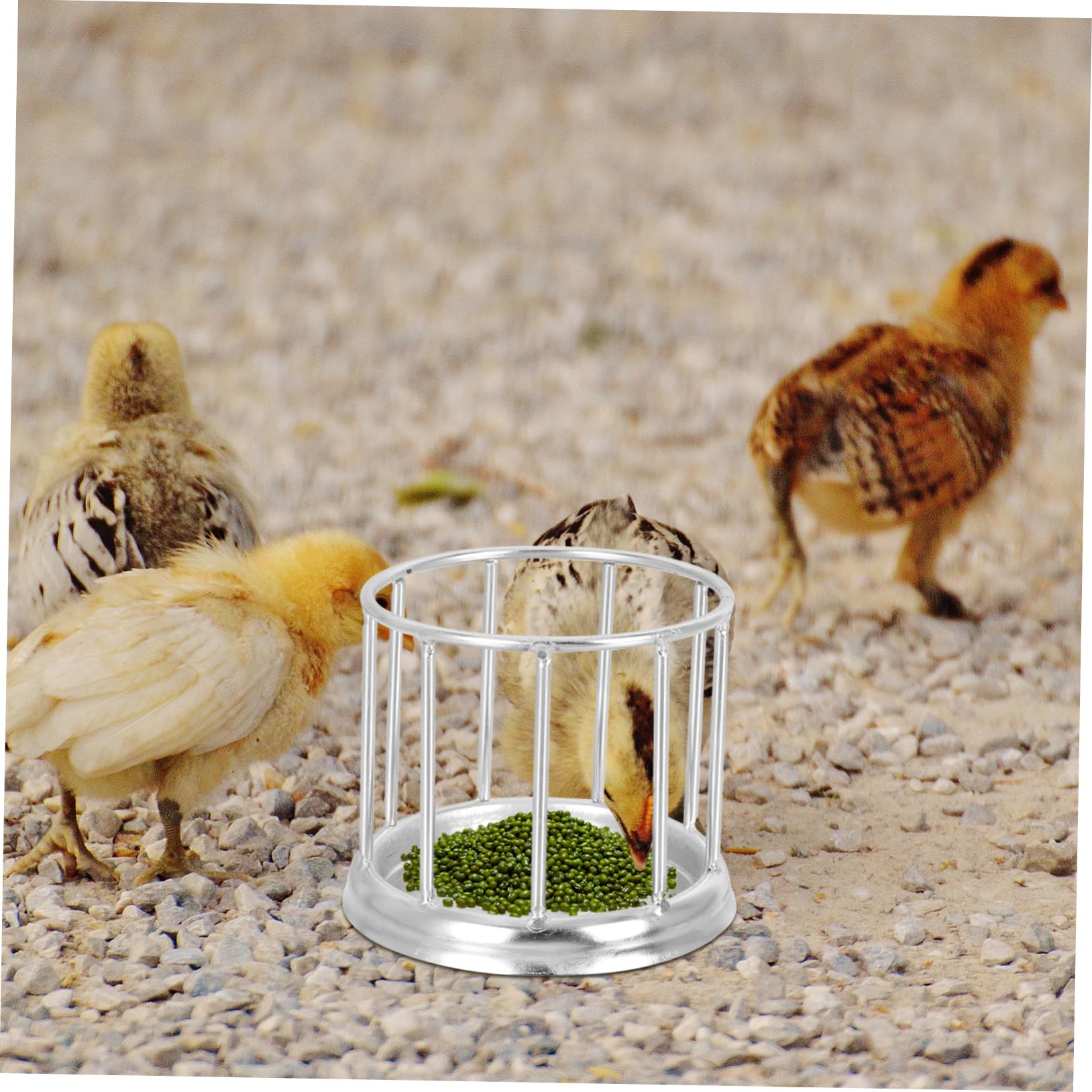 Kisangel 2piezas Alimentador Automático De Agua Inoxidable para Reptiles Plato De Comida para Tortugas y Diseño Estable y Antideslizante para Exteriores y Acuáticas