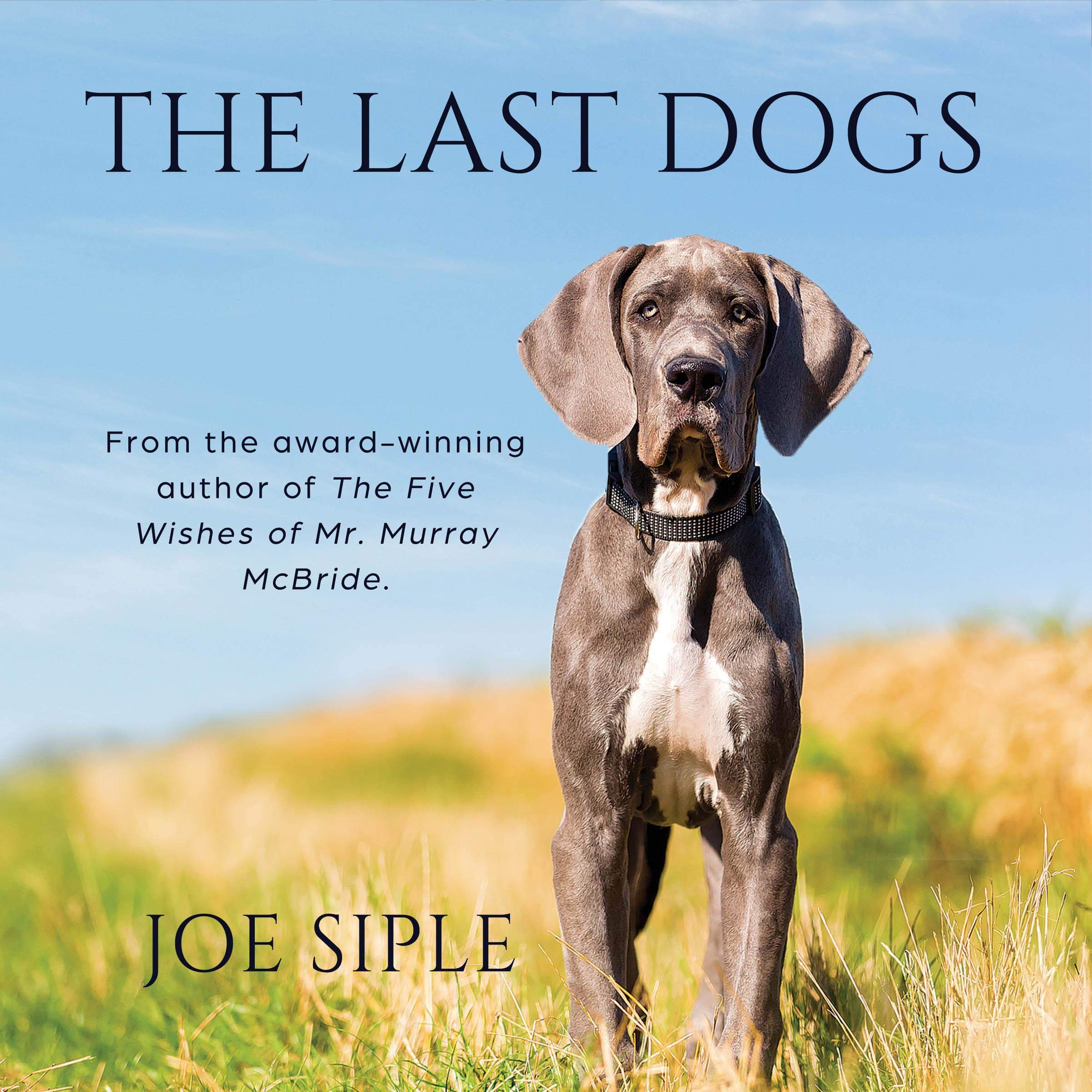 The Last Dogs