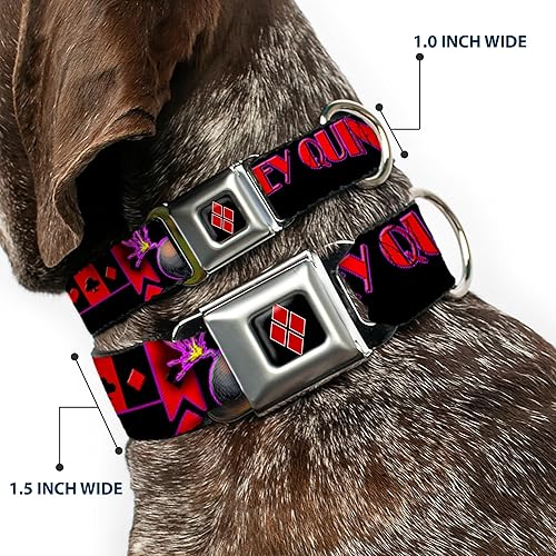 Miniatura 2 de Buckle-Down HARLEY QUINN - Collar de perro con hebilla para cinturón de seguridad, para posturas de bomba, color negro, morado, rojo, 1 pulgada de