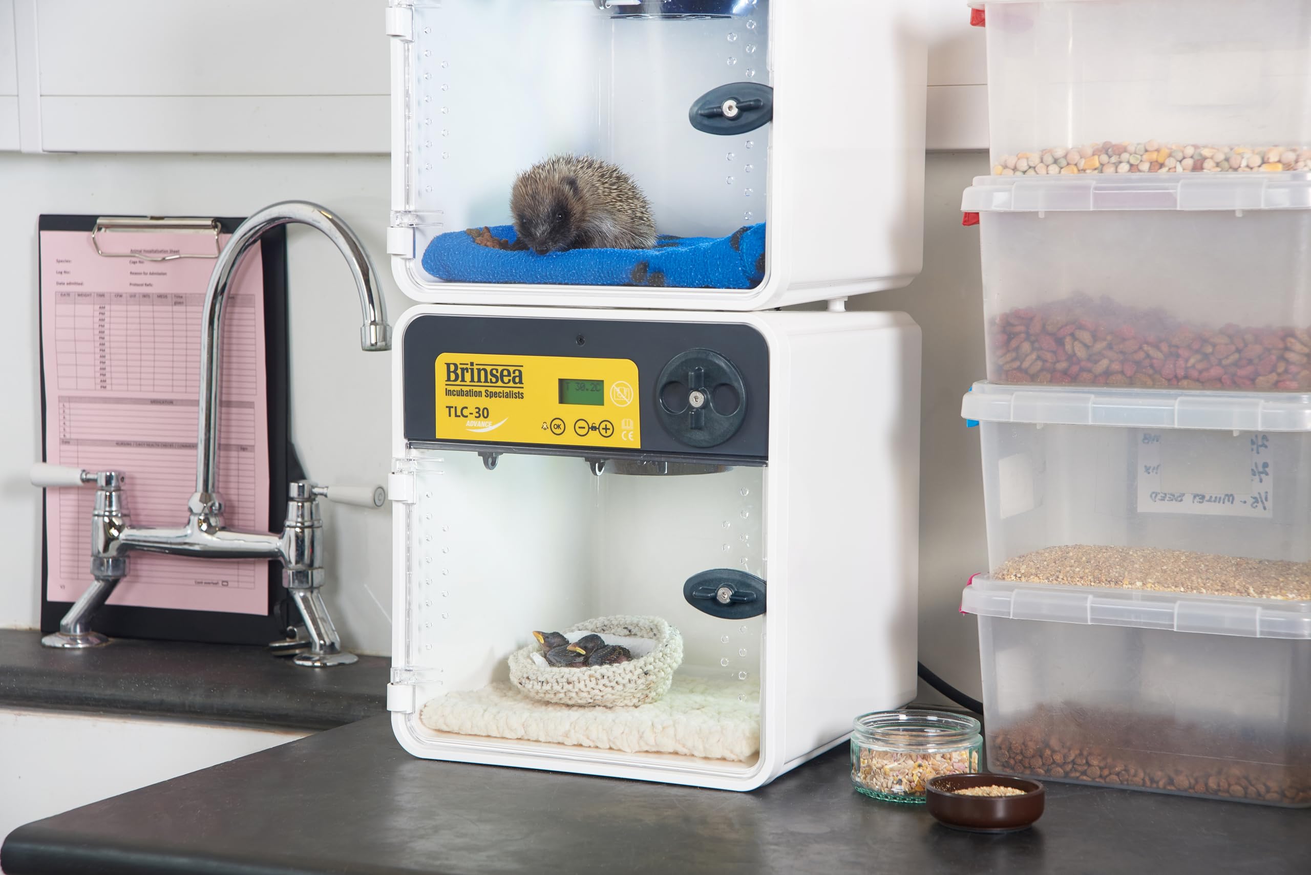 Criadora Brinsea TLC-30 Advance–Unidad de cuidados intensivos criadora con control digital –Para animales y aves jóvenes, enfermos, heridos o débiles. Portátil y apilable –Fabricada en el Reino Unido