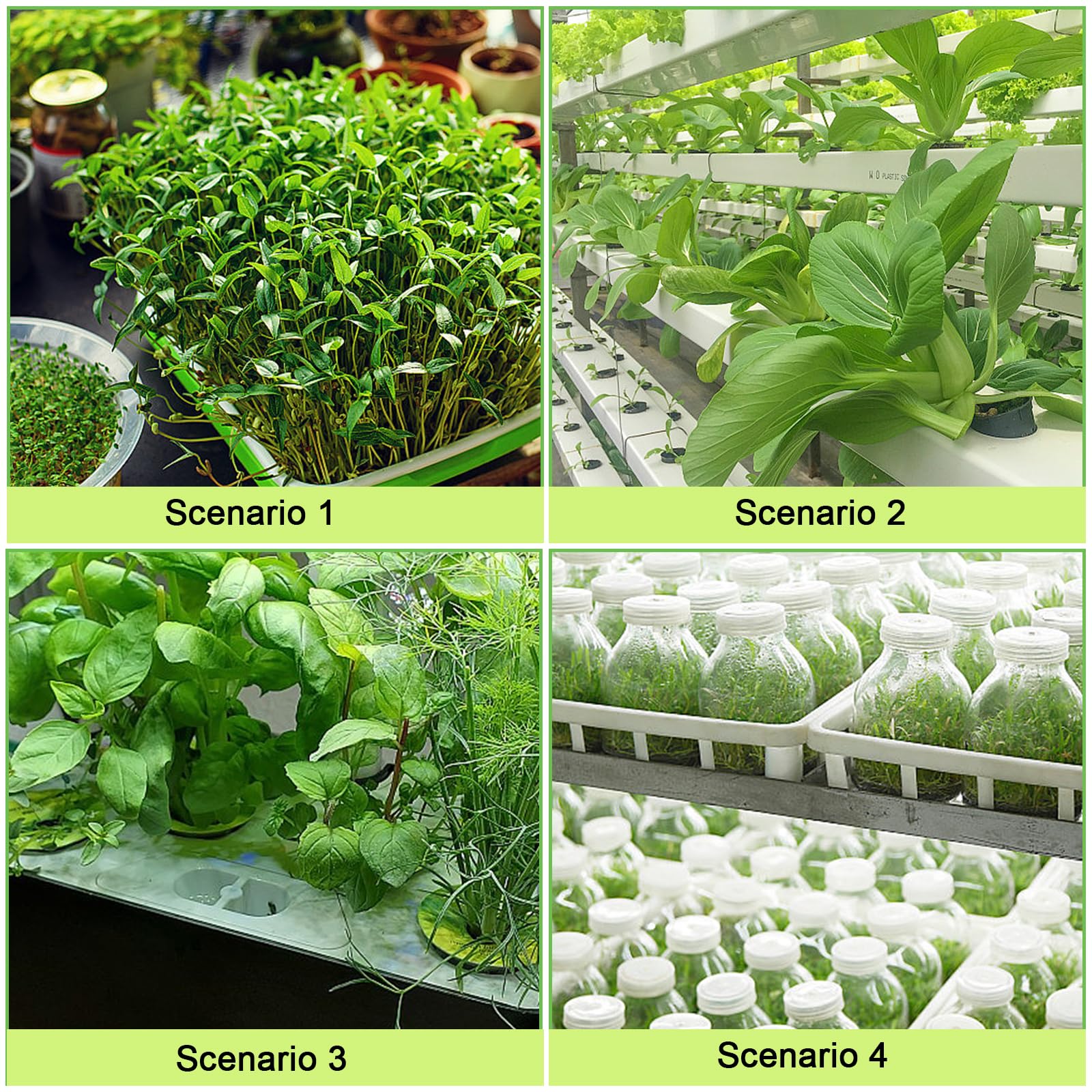 Kit 161 Pezzi Spugne Idroponiche - Per Germinazione Semi E Coltivazione Indoor - Foto 5