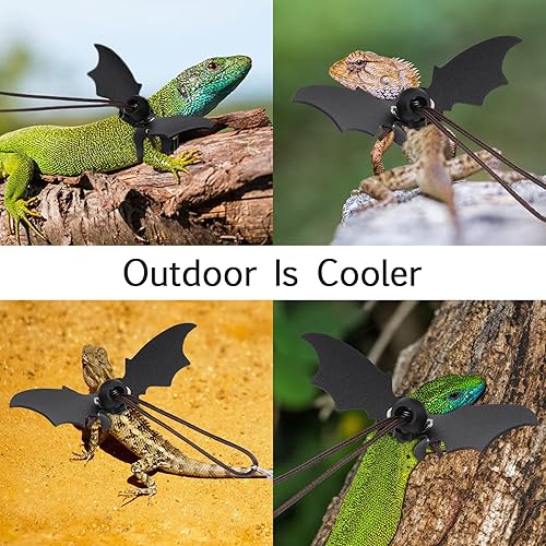 Miniatura 5 de cobee Arnés y correa de dragón barbudo, 3 correas de lagarto ajustables, correa de lagarto de reptil de cuero suave con alas frescas para iguana,