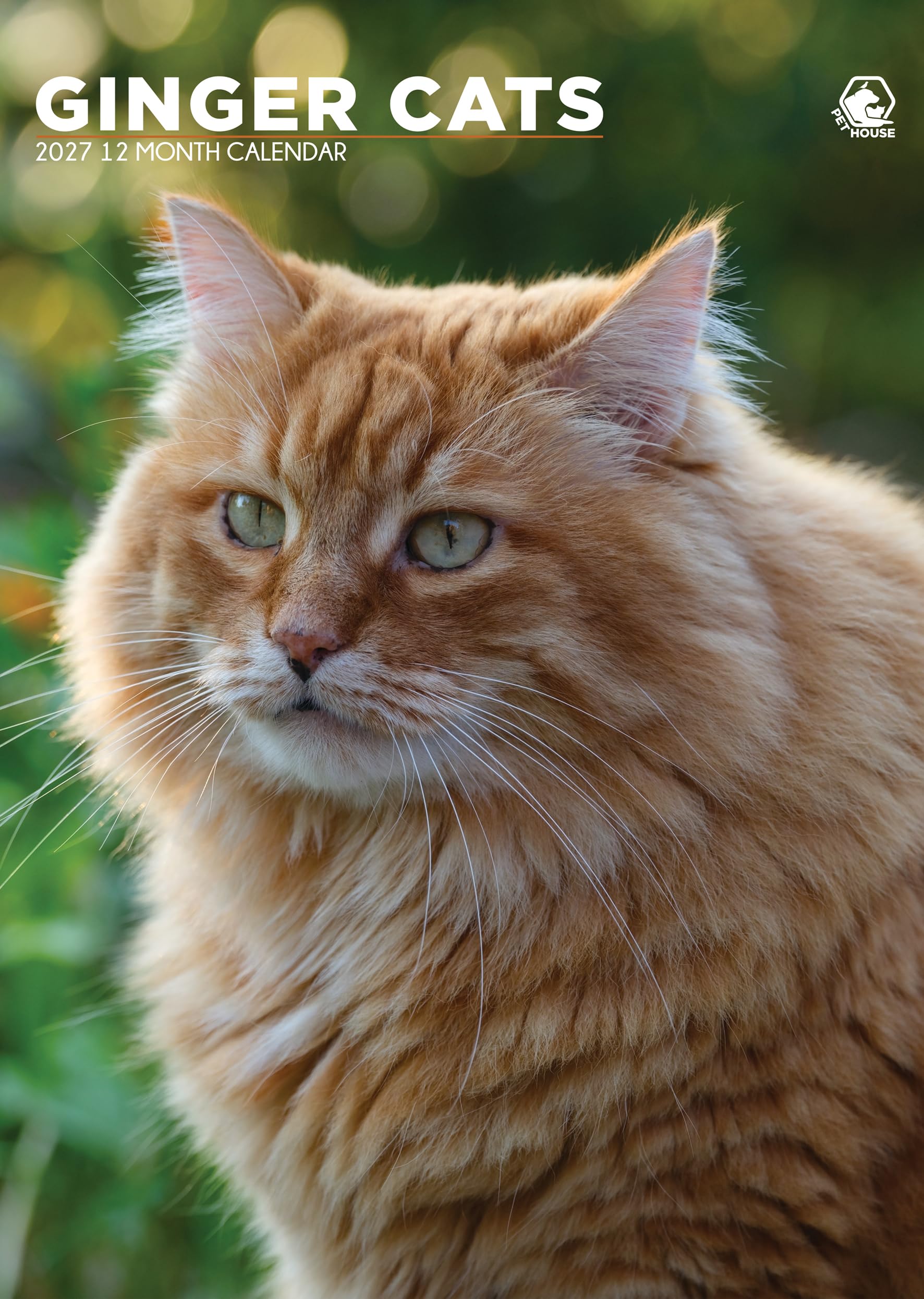 Ginger Cats 2027 Calendar, A3, Full Colour, Wirobound (CRU)