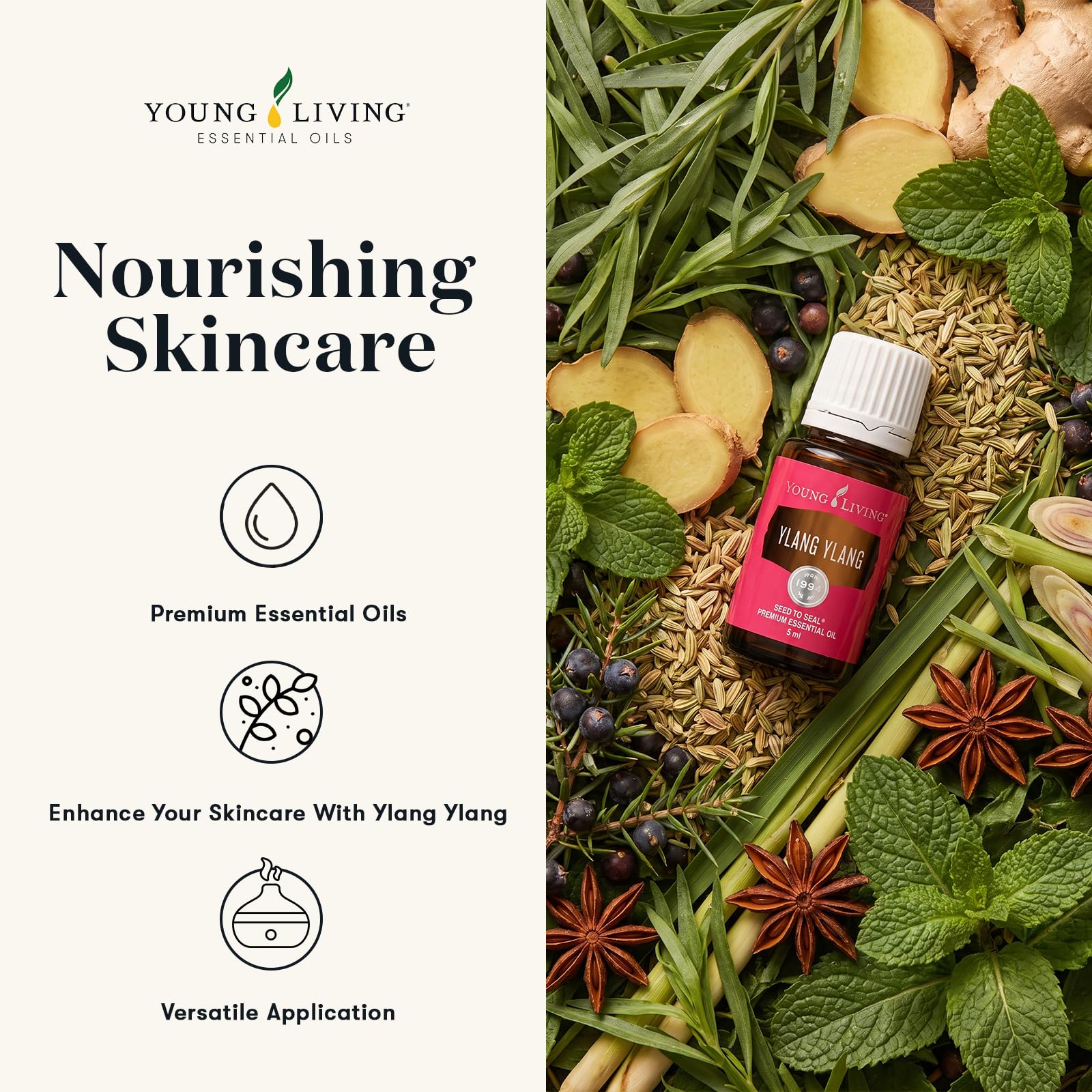 Amazon.com: Ylang Ylang Essential Oil 5ml by Young Living