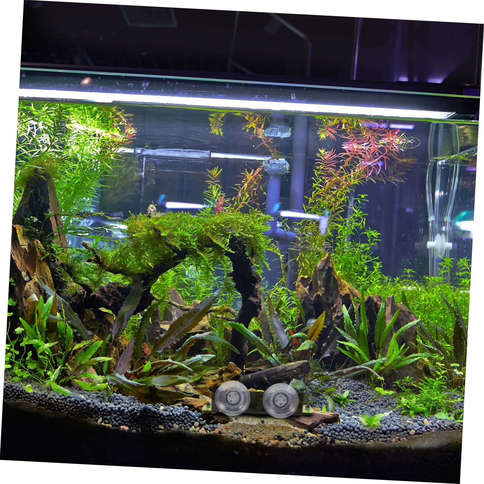 3 Stücke Acryl Korallen Basen Große Züchter Box Für Aquarium Riff Sicher Korallen Riff Basen