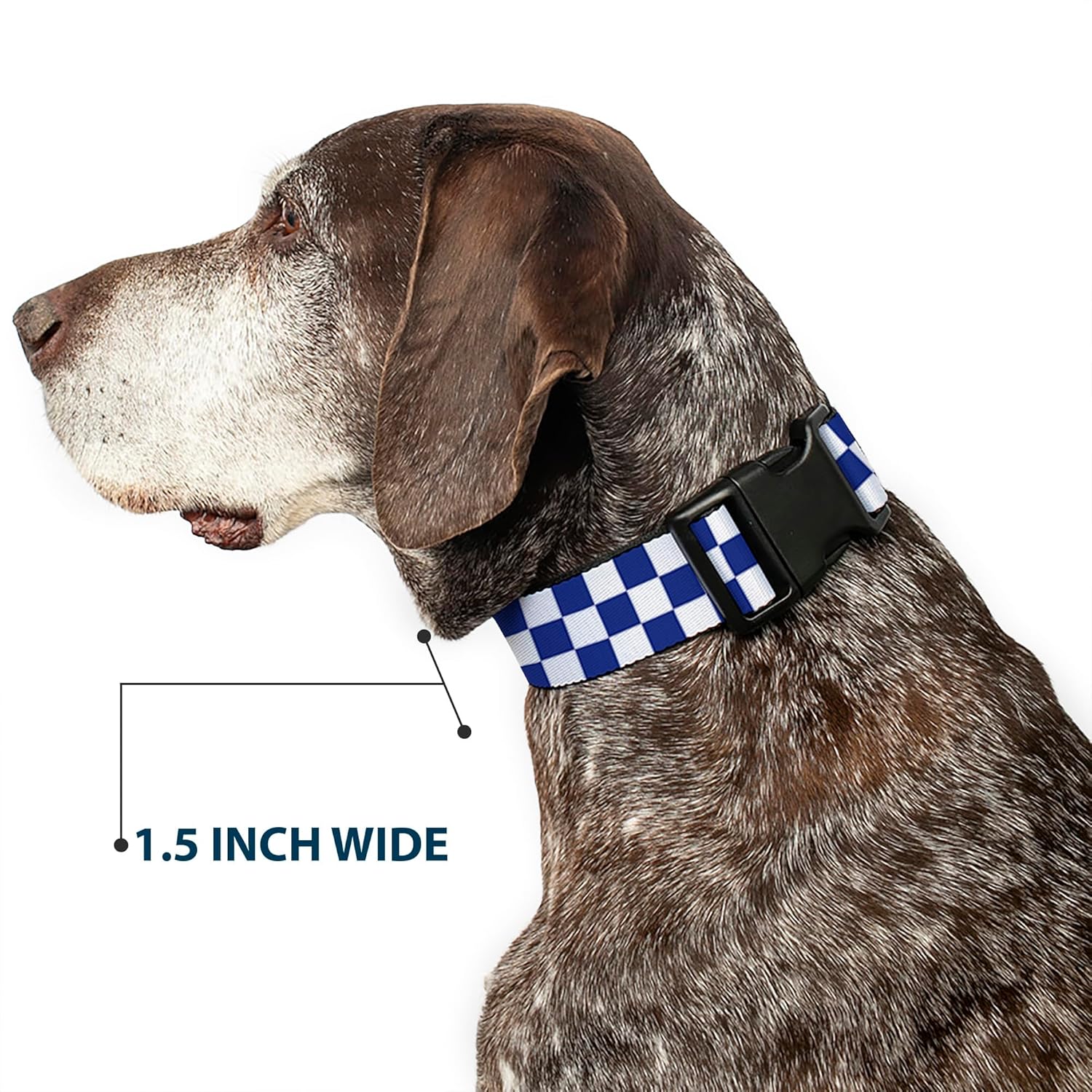 Buckle-Down Plastic Clip Collar - Checker BlueKU/White - 1.5" Wide - Fits 16-23" Neck - Medium