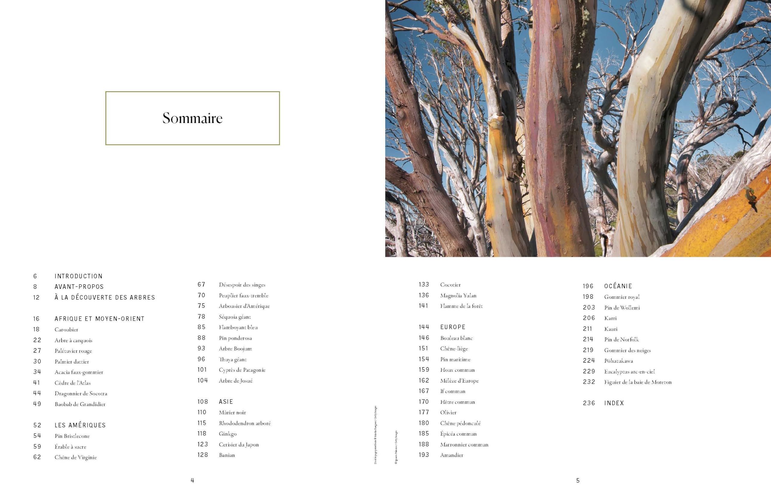 Lonely Planet - L'Atlas des arbres: Un incroyable tour du monde végétal