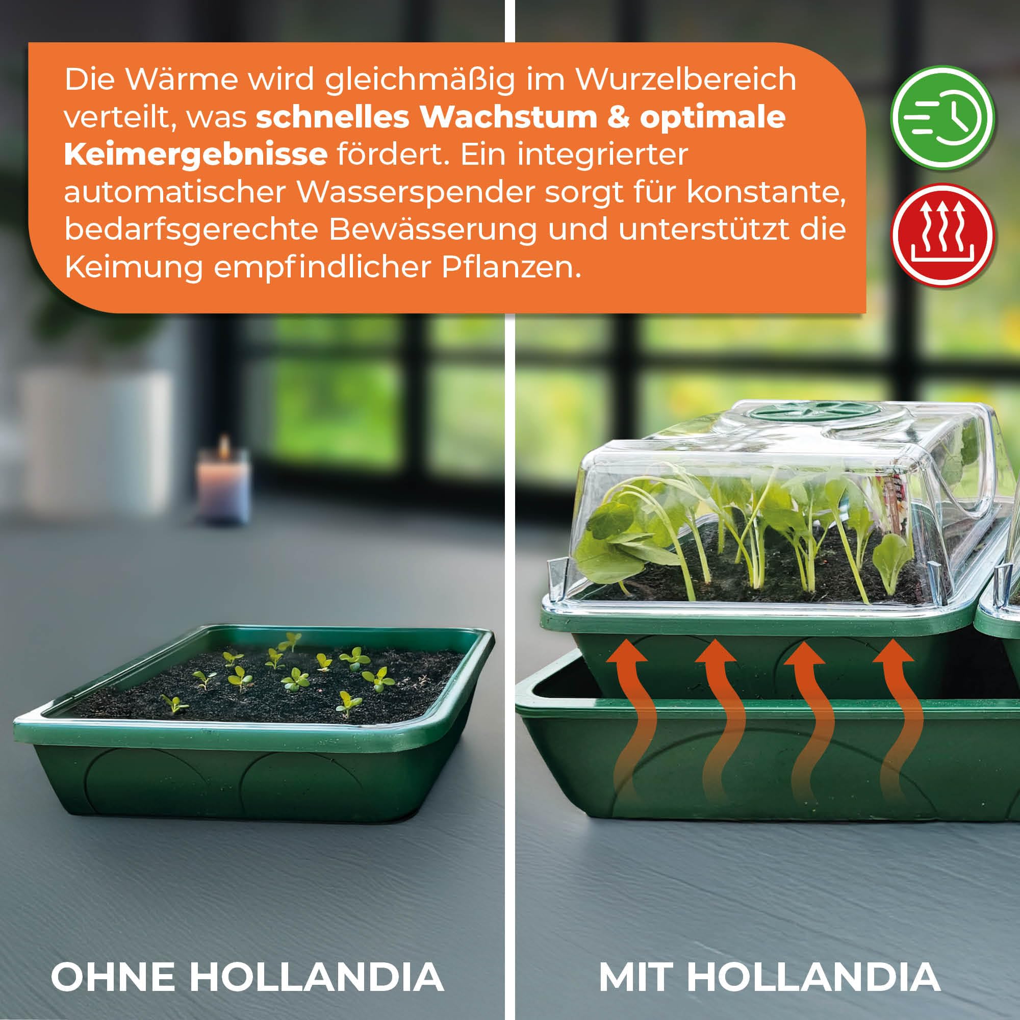 Bio Green Hollandia Window Sill Plant Grow Set, 3 Separate Climate Bio Green Hollandia Window Sill Plant Grow Set, 3 Separate Climate