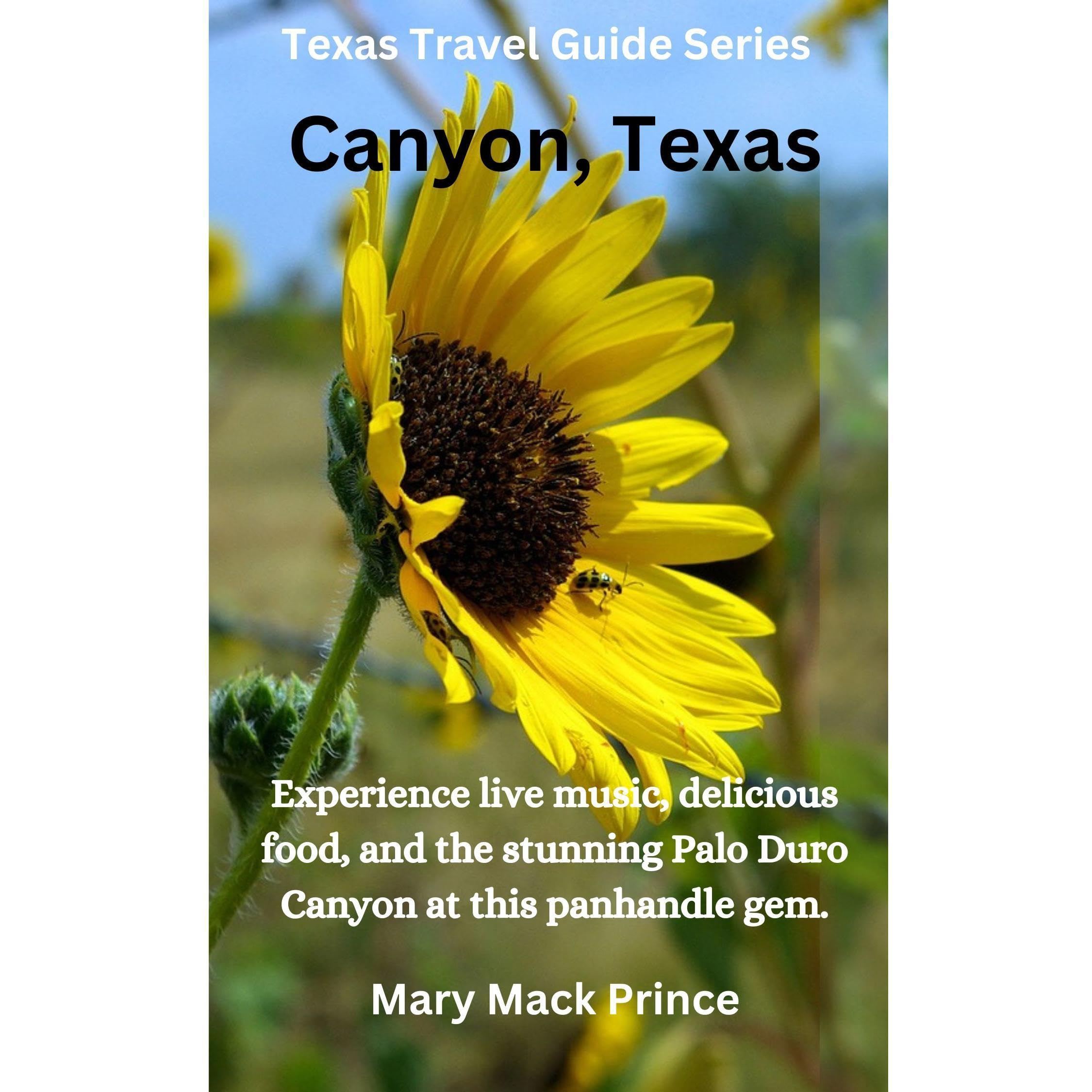 Canyon Texas Travel Guide