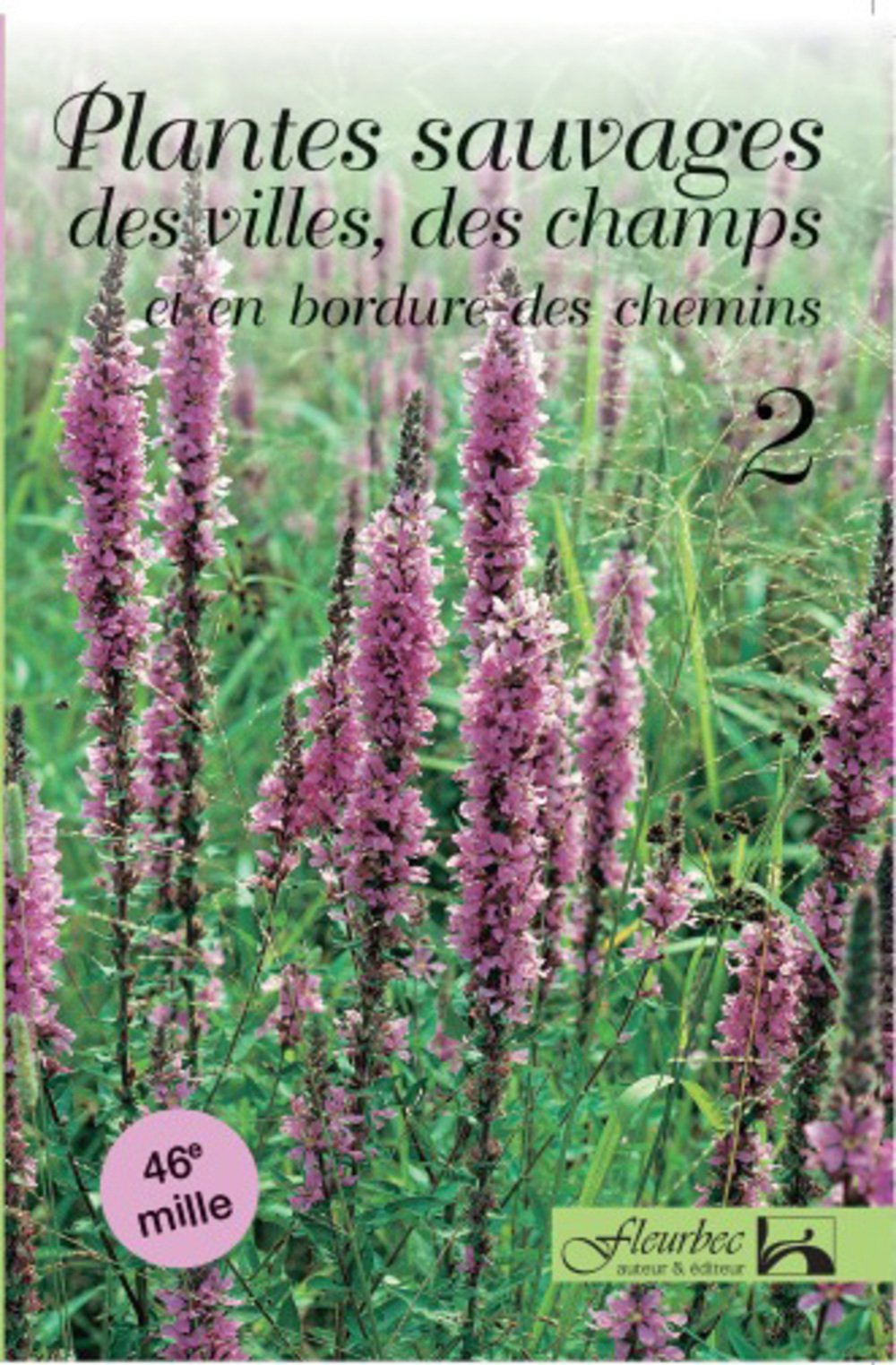 Plantes sauvages villes et champs, t. 02: Et en bordure des chemins [Paperback] Fleurbec and Lamoureux, Gisèle