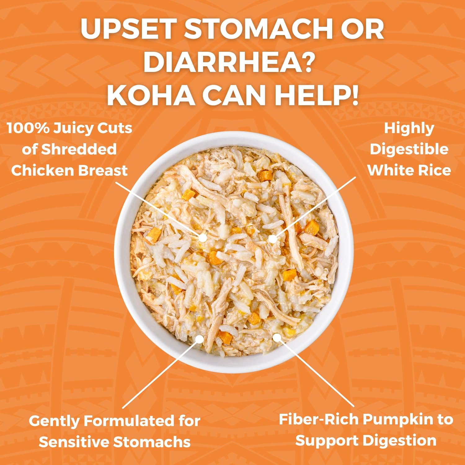 KOHA Pet Limited Ingredient Bland Diet for Cats, Chicken and White Rice Recipe Sensitive Stomach Wet Cat Food, Gentle Formula Easy to Digest Bland Diet Cat Food, 6 oz Pack of 12
