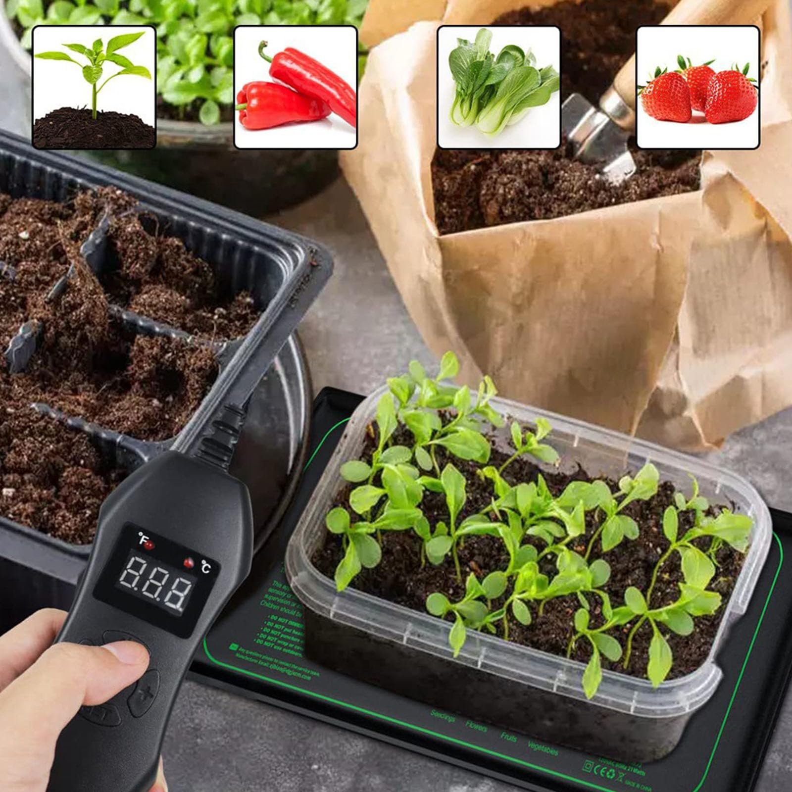 Coussin chauffant pour plante avec contrôle du thermostat - Tapis chauffant imperméable pour semis pour germination et croissance efficaces en hydroponie Vario