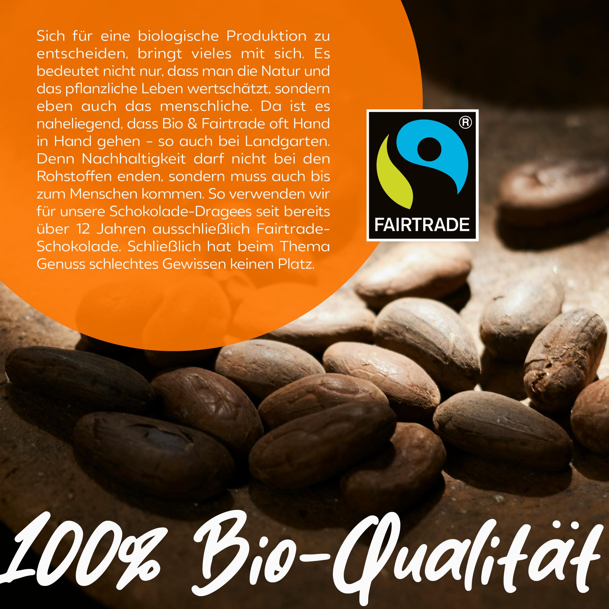 Landgarten Bio Ingwer in Zartbitter-Schokolade – 10x 70g | 100% Fairtrade – kandierte Ingwerstücke umhüllt von feinherber Zartbitterschokolade 62% Kakao – scharf-aromatischer Premium-Snack