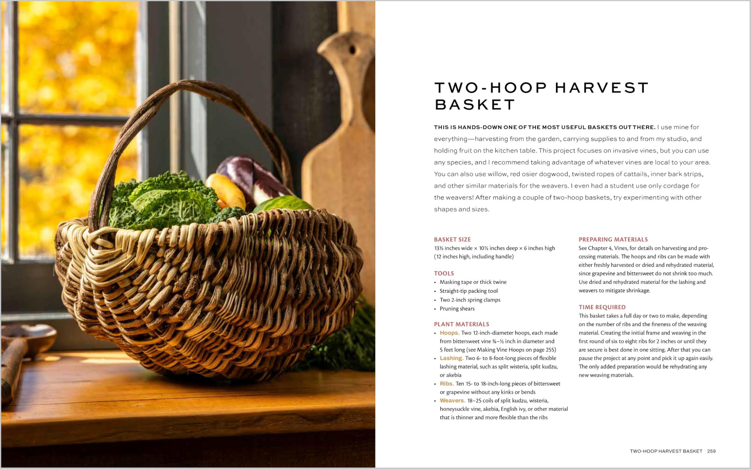 Weaving Wild Baskets: Techniques and Projects Using Foraged Leaves, Grasses, Vines, and Bark