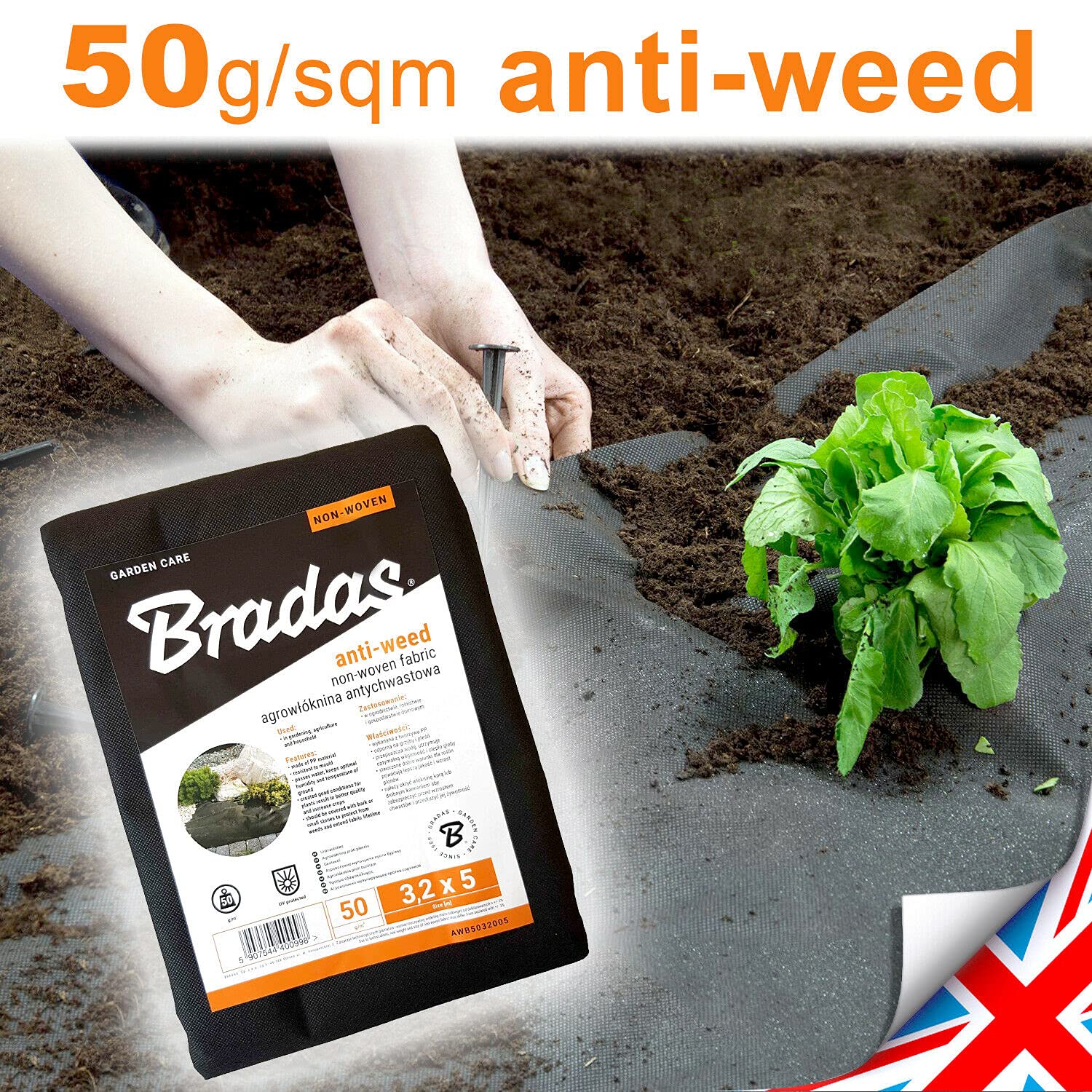 View 2