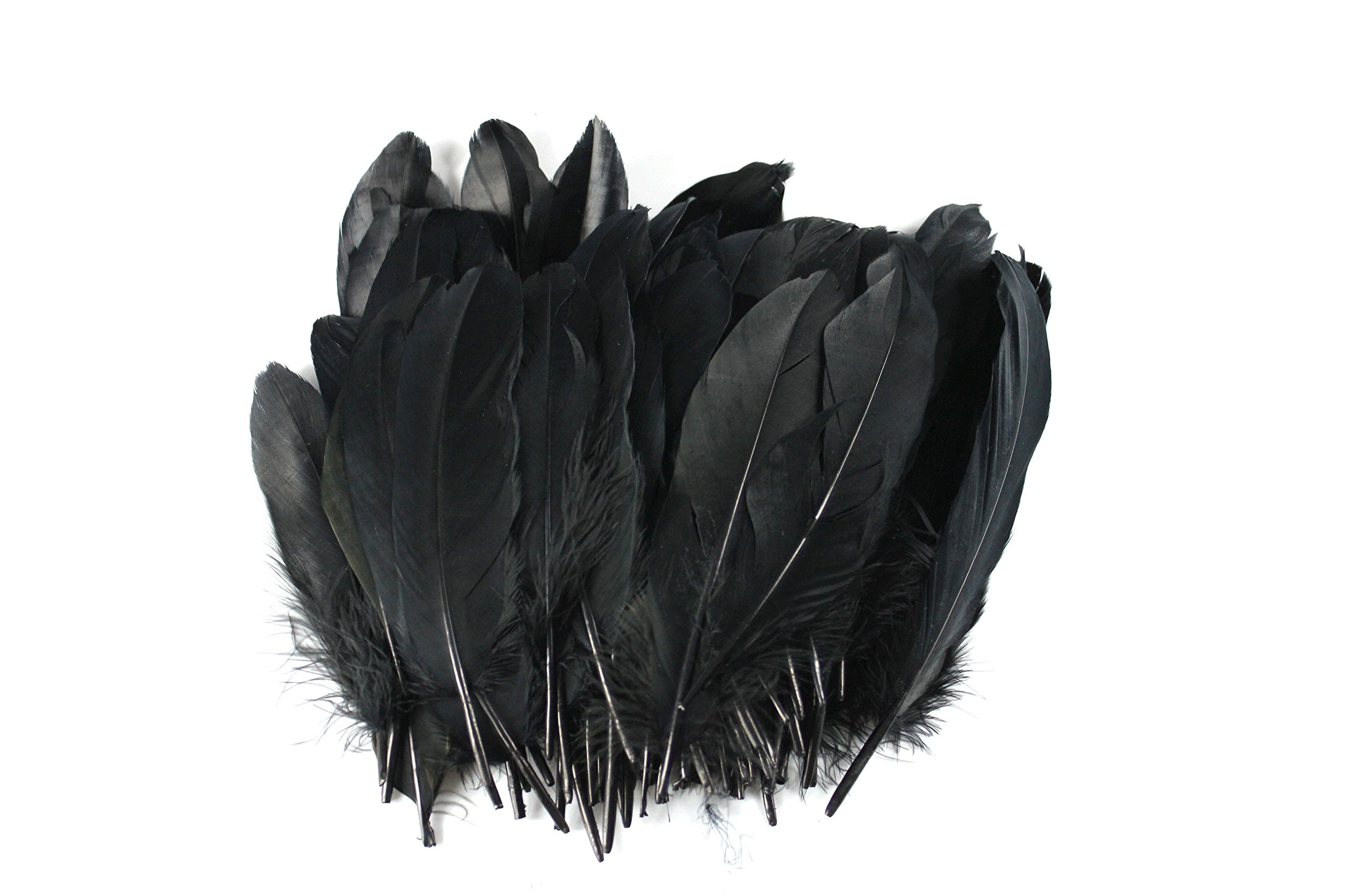 Amazon.co.jp: ノーブランド品 染め羽根 100枚 ガチョウの羽 15-20CM