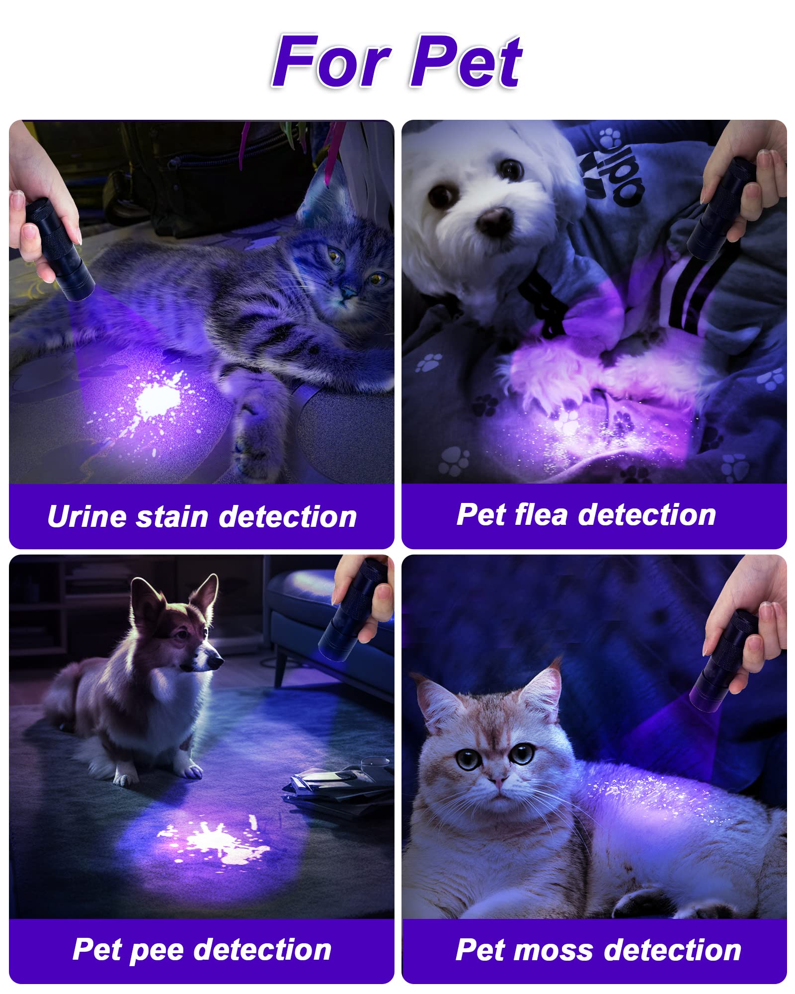 UV-Schwarzlicht-Taschenlampe 12 Led, Mini UV Lampe Ultraviolettes Licht mit 395nm, Haustiere Urin-Detektor für Hundeurin, Haustierflecken, Bettwanzen auf Teppich/Teppichen. Inklusive 3 AAA Batterien