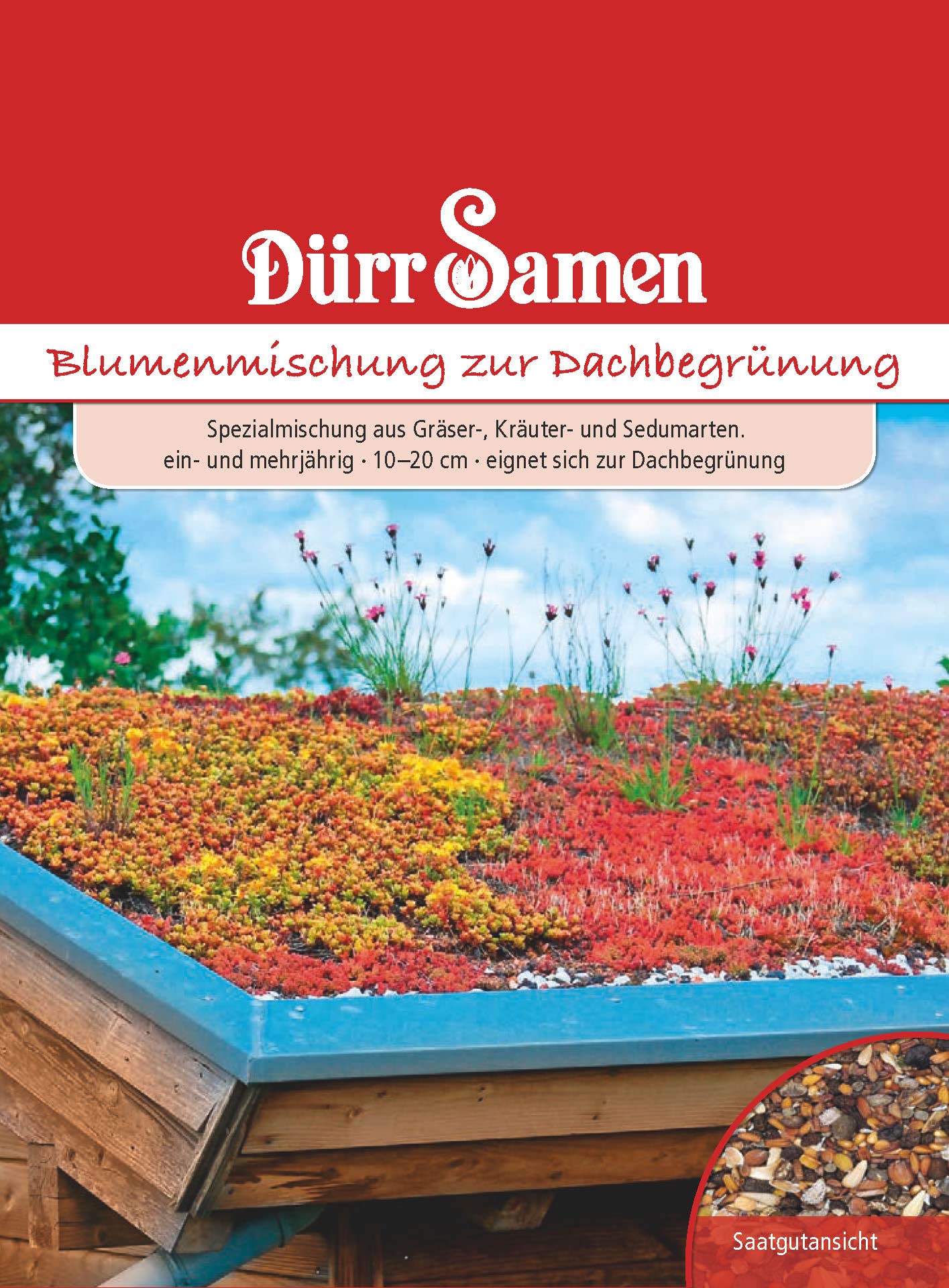 knstliche blumen mit licht Traditionelle rustikale knstliche Blumen Eisenrahmen Glasschirm 1/2 L   BulbSquare