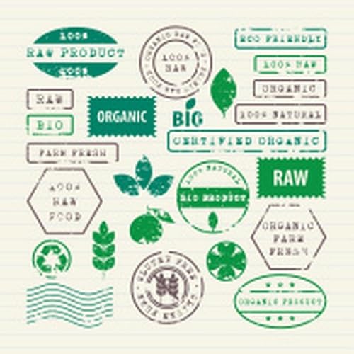 Coffee Cake Recipe - //medicalbooks.filipinodoctors.org