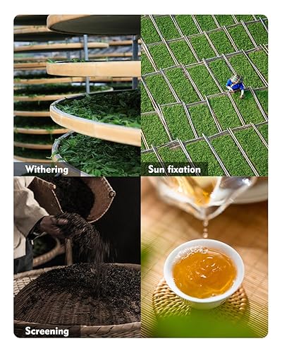 Miniatura 5 de KHS Té blanco de hojas sueltas, té blanco orgánico de 3.53 onzas con certificado USDA Organic White Loose Leaf Tea para bebidas de té caliente o