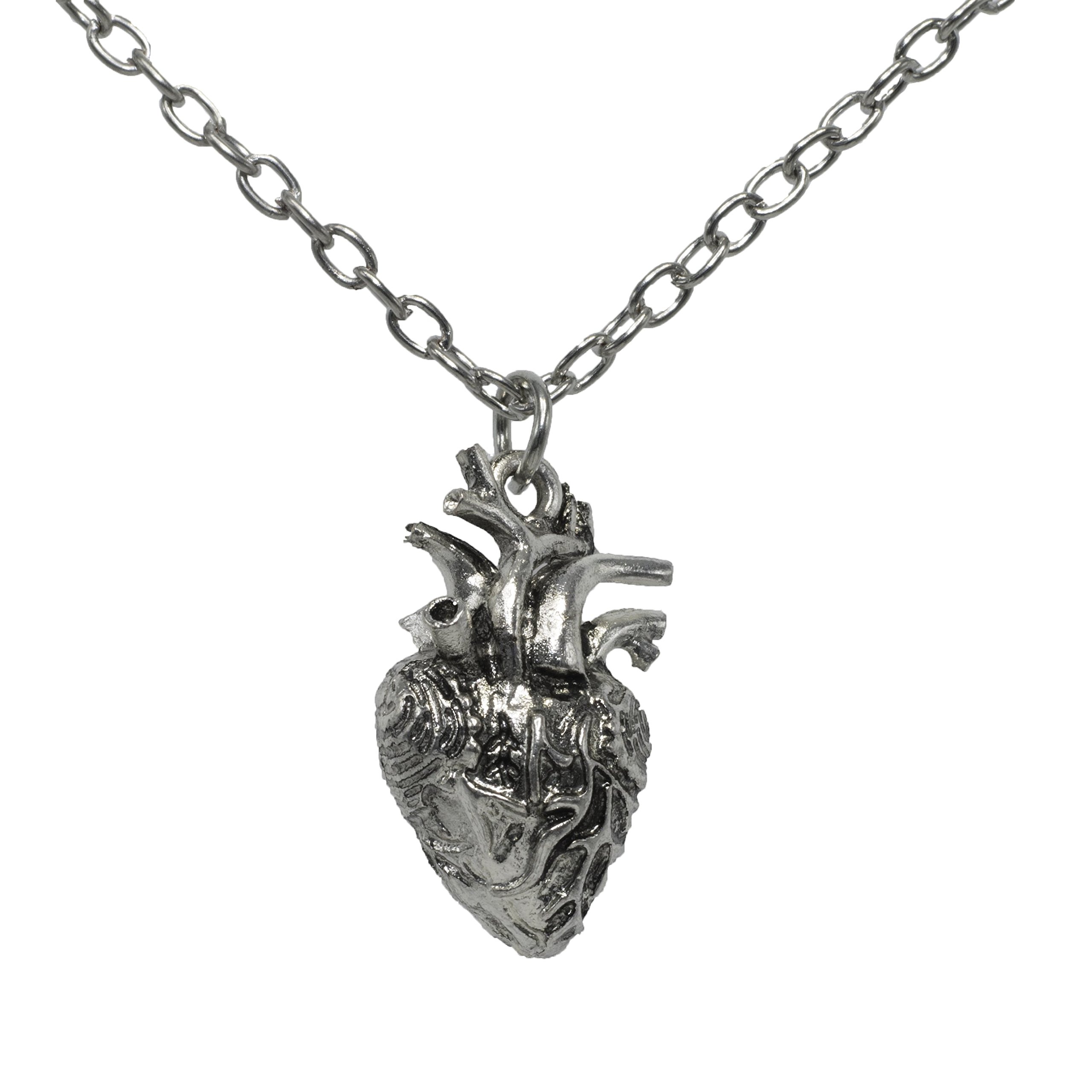 Anatomical Heart Pendant 3D Human Heart Necklace Anatomic Heart Halloween Pendant Nickel Free Alloy Steampunk Style Medical Personnel Prop - 