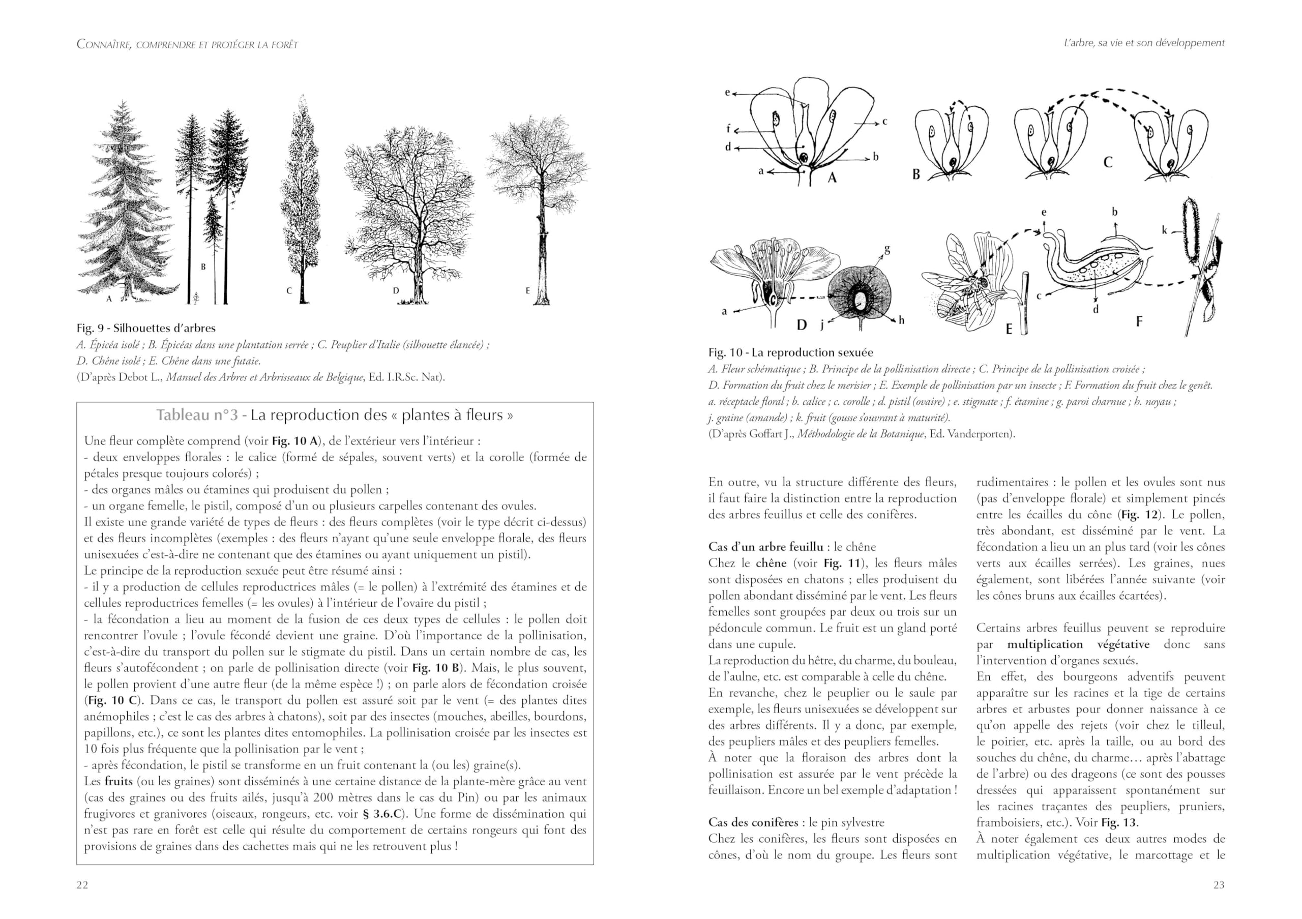 Connaître, comprendre et protéger la forêt (2ed): Intiation à l'écologie forestière