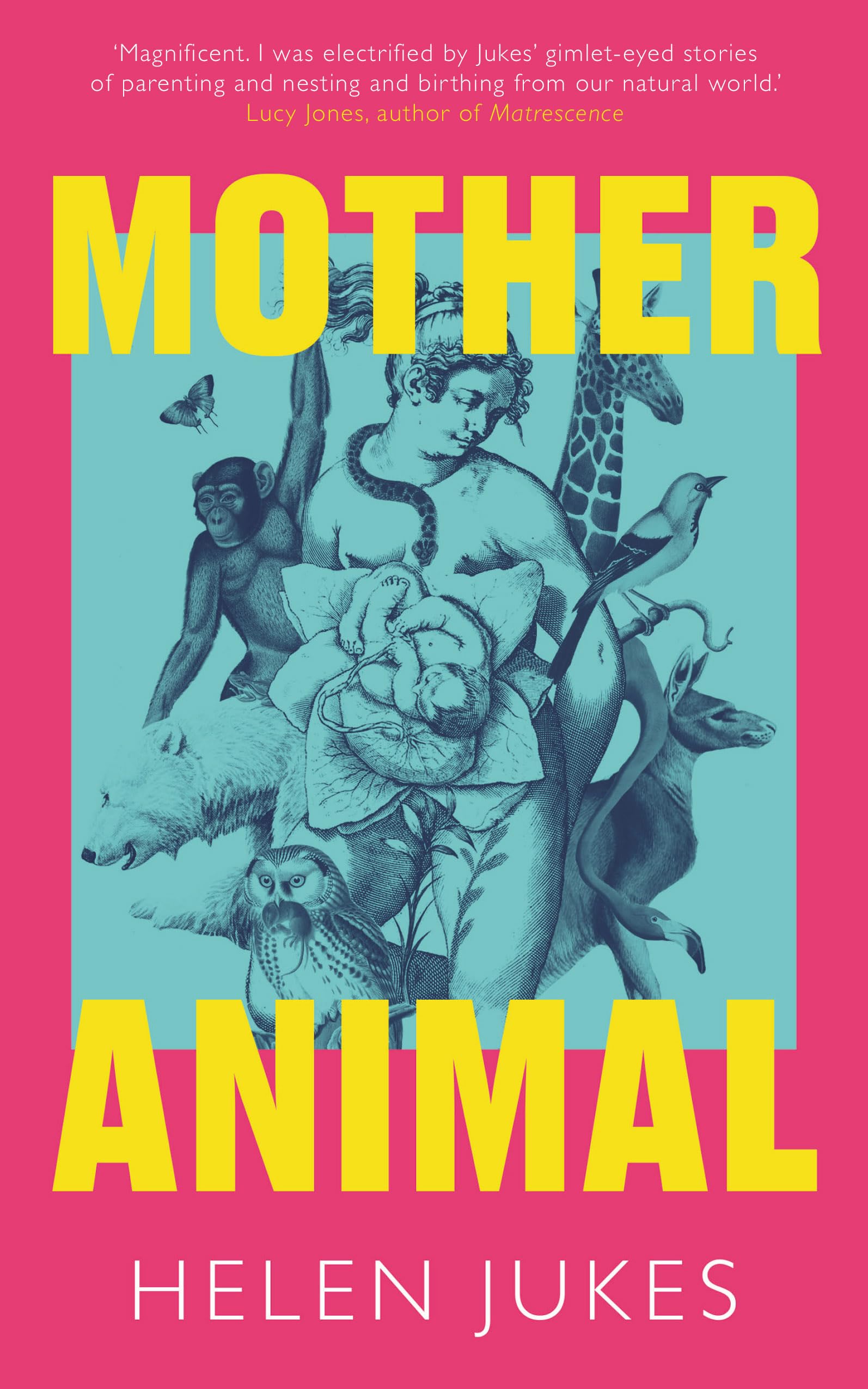 Mother Animal by Helen Jukes Hardback