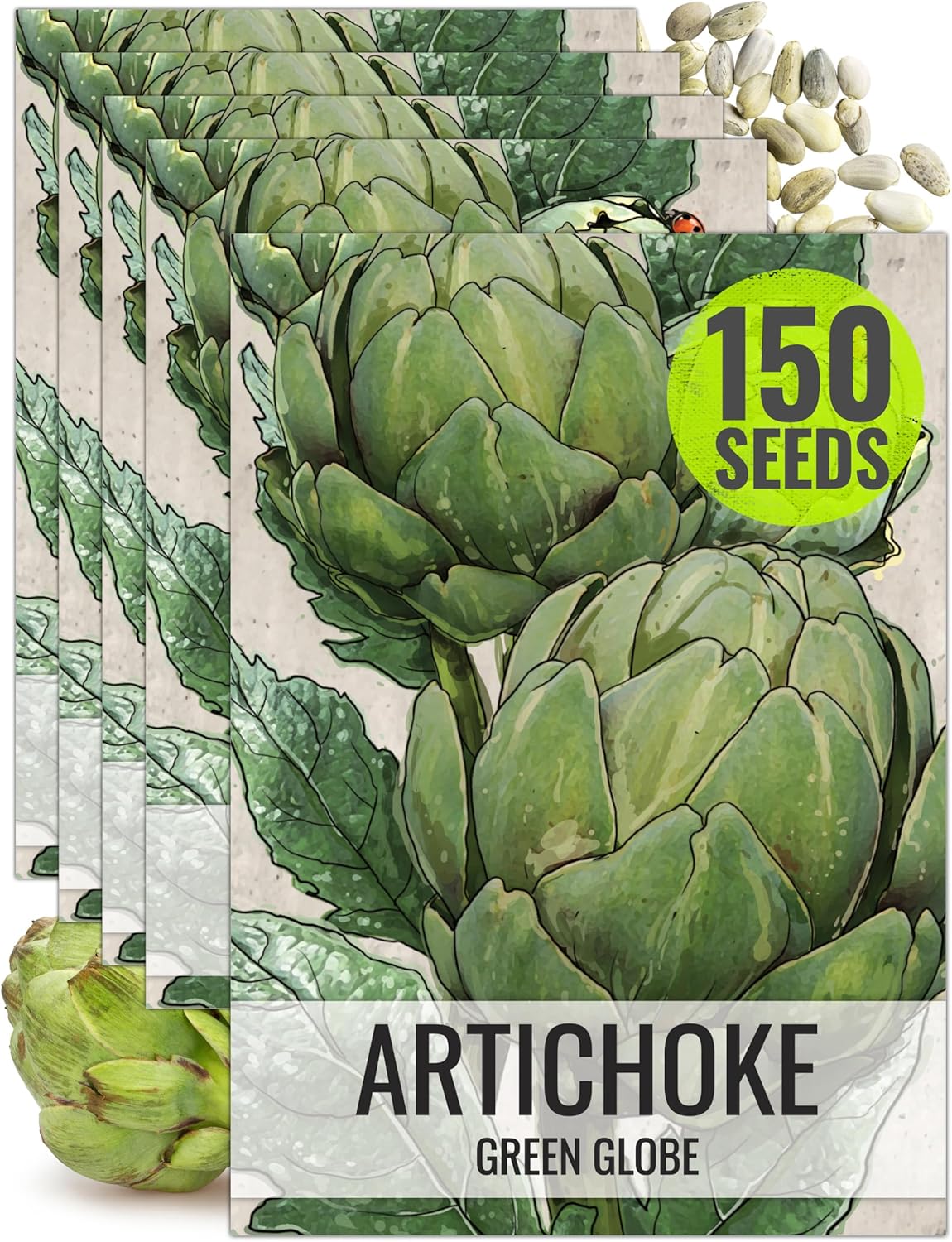 Seed Needs Artichoke Seeds for Planting Green Globe Artichokes - Non-GMO Heirloom & Untreated - Grow an Outdoor Home Grown Vegetable Garden for Fresh Produce (10 Packs)