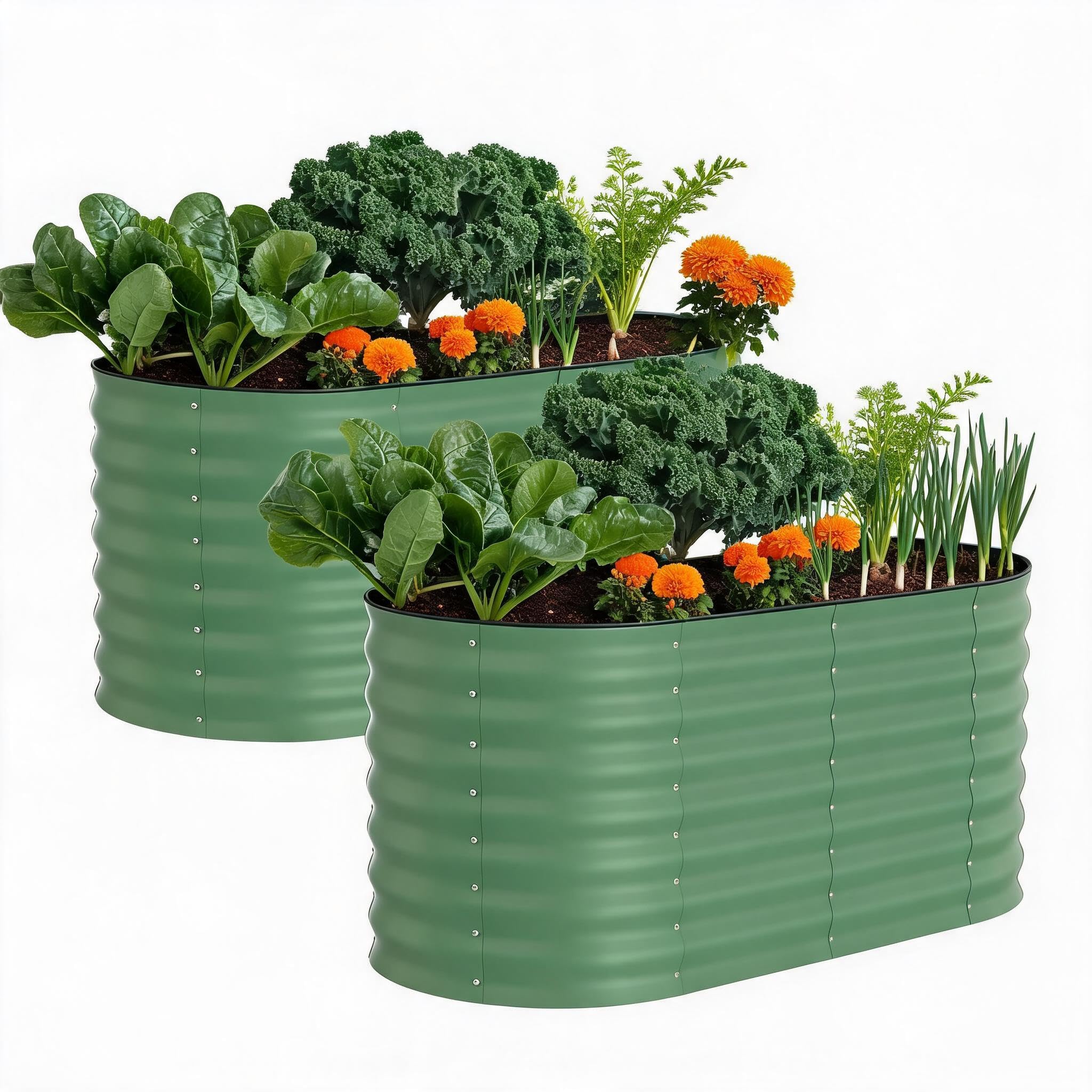 Garvee 2 Pack 4x2x2ft Galvanized Raised Garden Bed, Oval Metal Planter Box