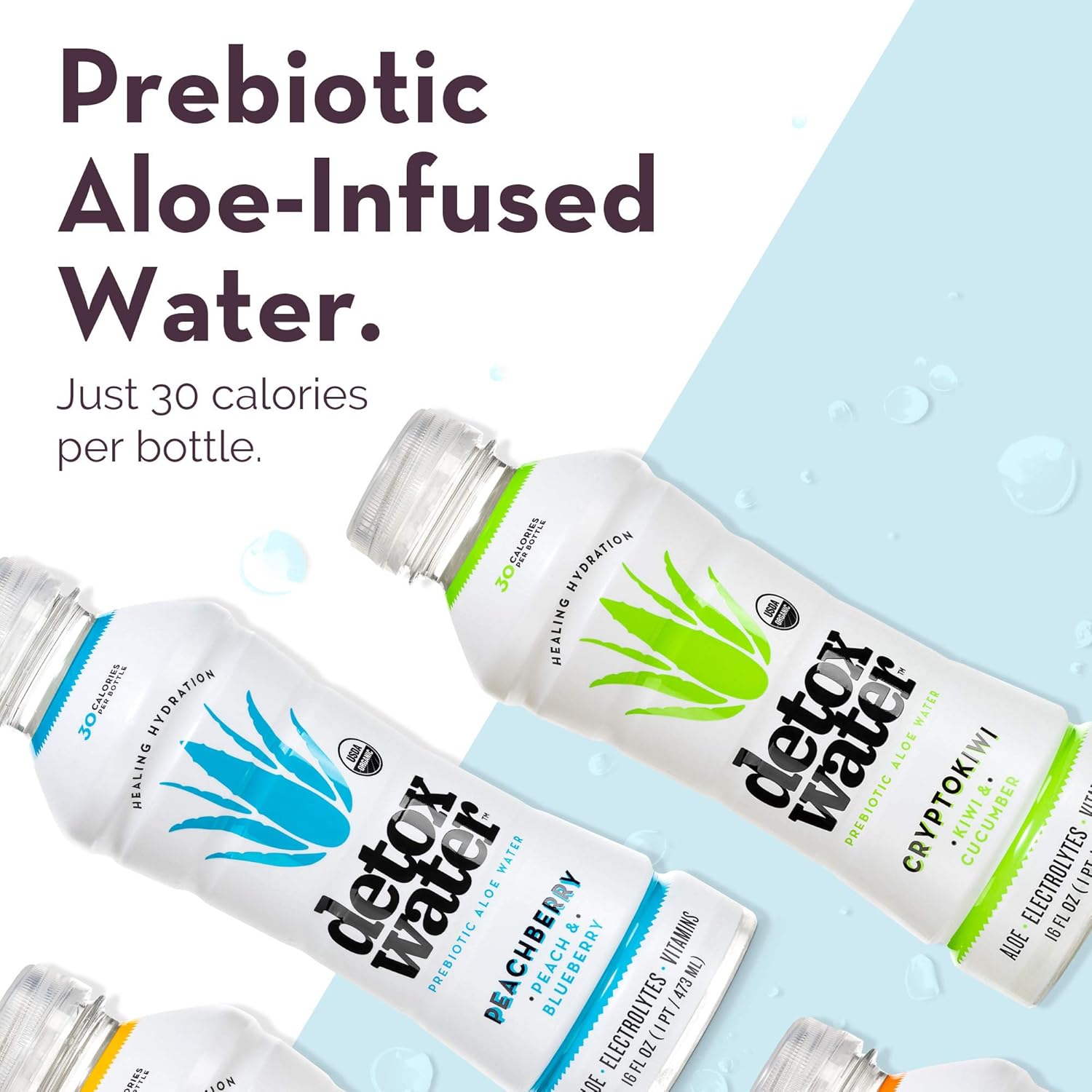 Detoxwater Organic Aloe Vera Prebiotic Water, Premium Aloe with Electrolytes, Vitamins, & Antioxidants to Support Digestive, Immune & Skin Health, 30 Calories (Cucumber & Kiwi, 12 PK): Health & Personal Care