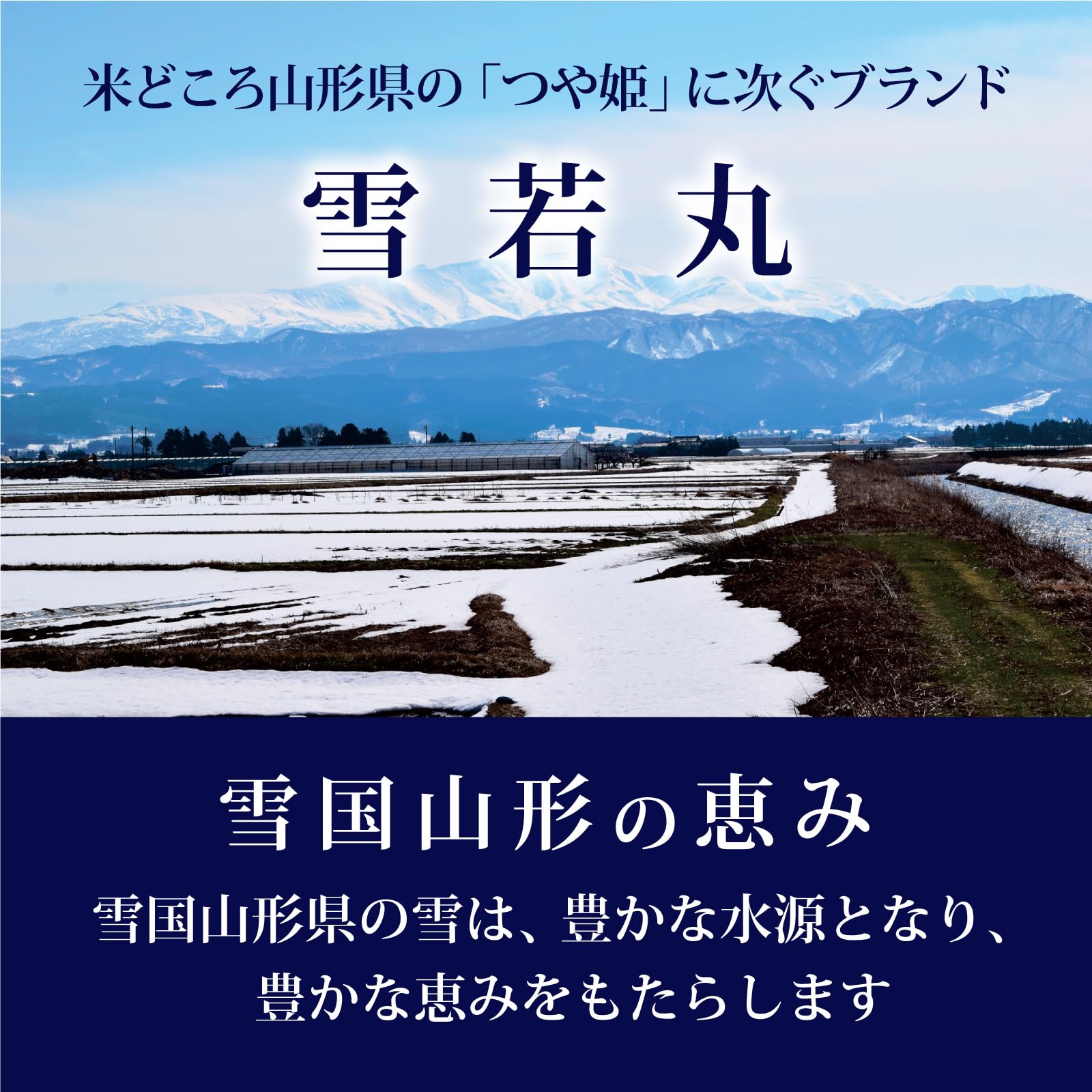 Amazon.co.jp: ミツハシ【精米】山形県産雪若丸 5kg 令和7年産 : 食品
