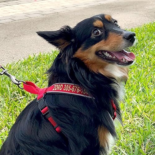 Miniatura 10 de Arnés para perro Pawtitas para entrenamiento de suave, ajustable, reflectante, acolchado para cachorros, Rosado