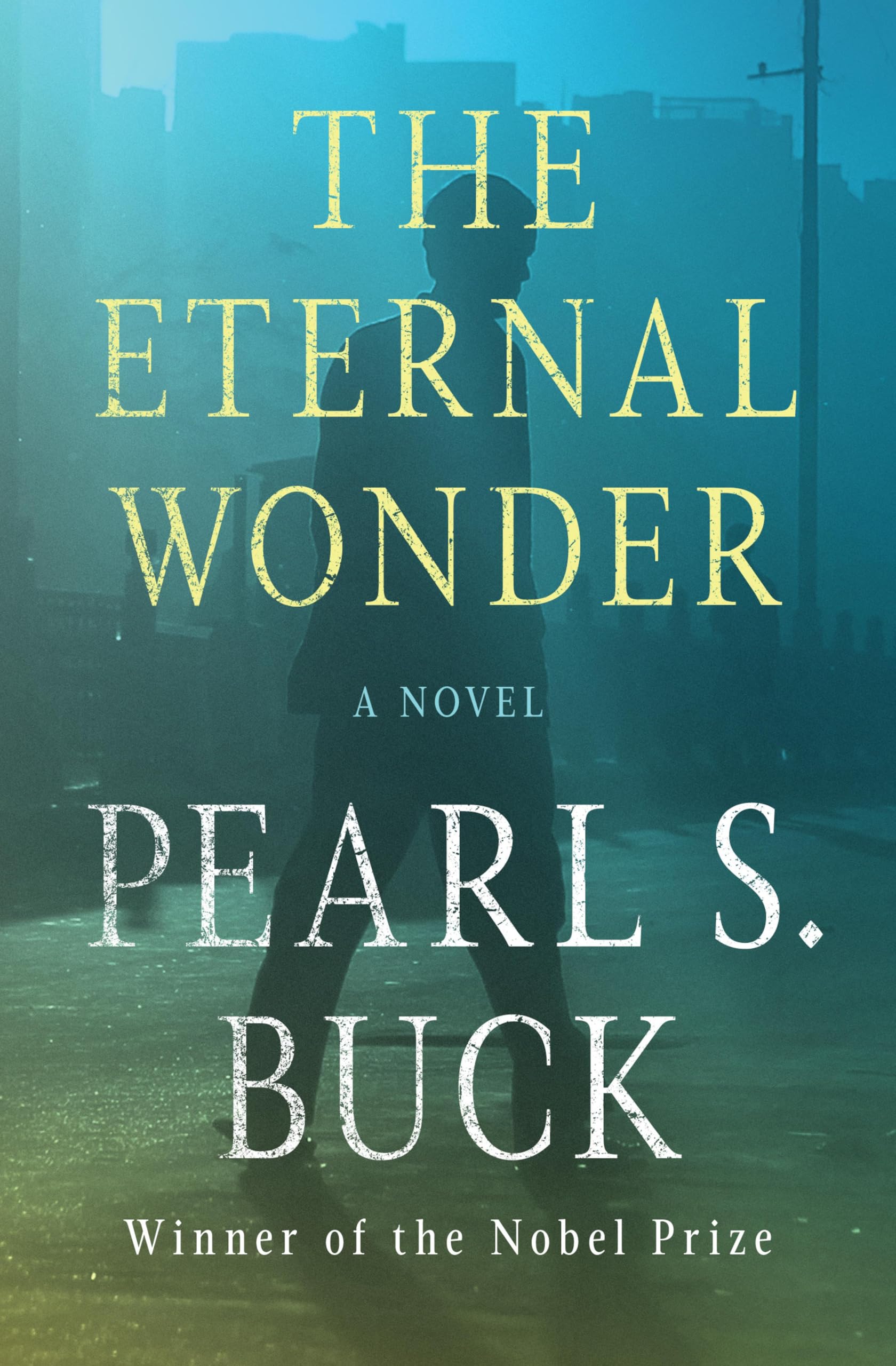 The Eternal Wonder: A Novel