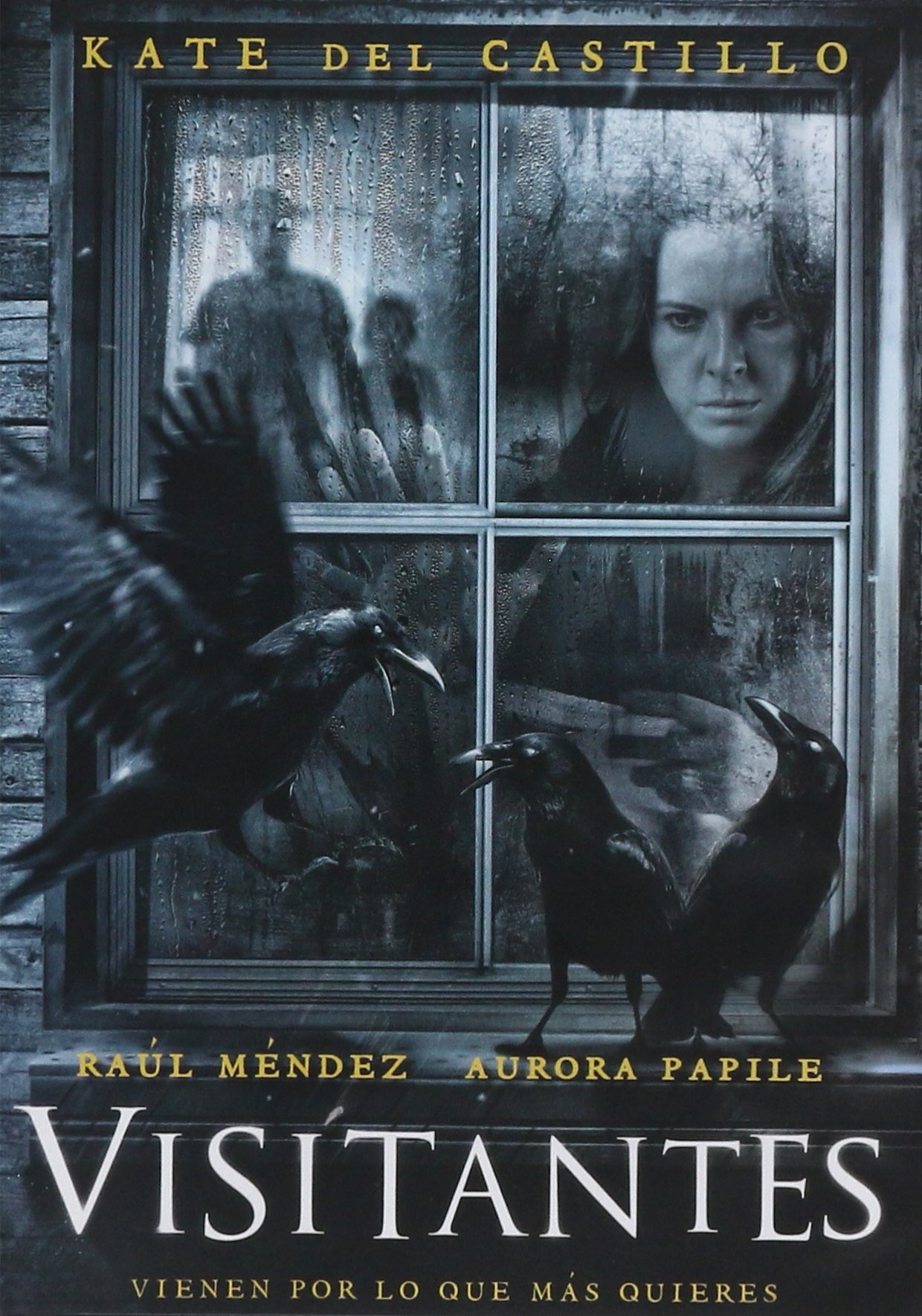 KATE DEL CASTILLO,RAUL MENDEZ,AURORA PAPILEVISITANTES [KATE DEL CASTILLO,RAUL MENDEZ,AURORA PAPILE] [NTSC/REGION 1 & 4 DVD. Import-Latin America]