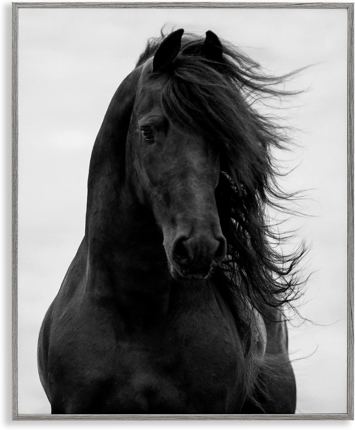 Stupell Industries Black Stallion Horse Portrait Soft Grey Sky Photography, Design by Carol Walker Gray Framed Wall Art, 24 x 30