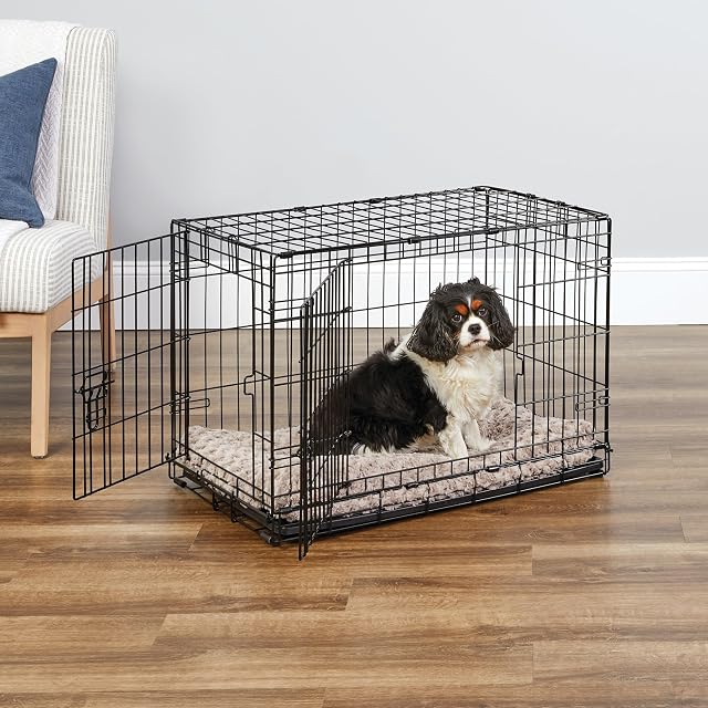 Foto 2 de 7 de New World - Jaula plegable de metal para perros de doble puerta de 76 cm, seguridad mejorada, incluye bandeja…