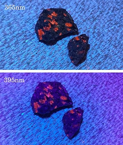 Miniatura 6 de Linterna UV de luz negra, linterna ultravioleta de 365 nm y 395 nm, lámpara de mano para detección de manchas de orina de mascotas, rocas y