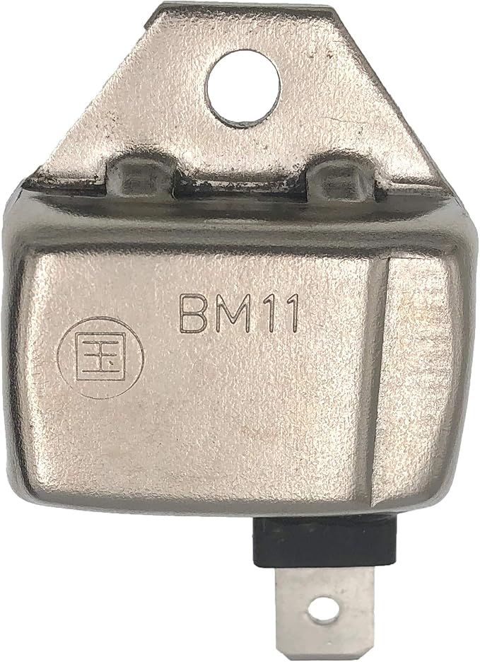 PARTSRUN 211192161 Igniter Ignitor Module for Club Car DS