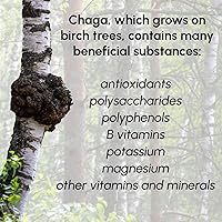 Vista 3 de Polvo de hongos Chaga 8 oz
