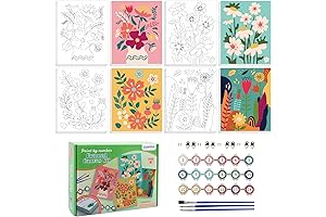 goldentime Framed Paint by Numbers Kit for Adult Beginners